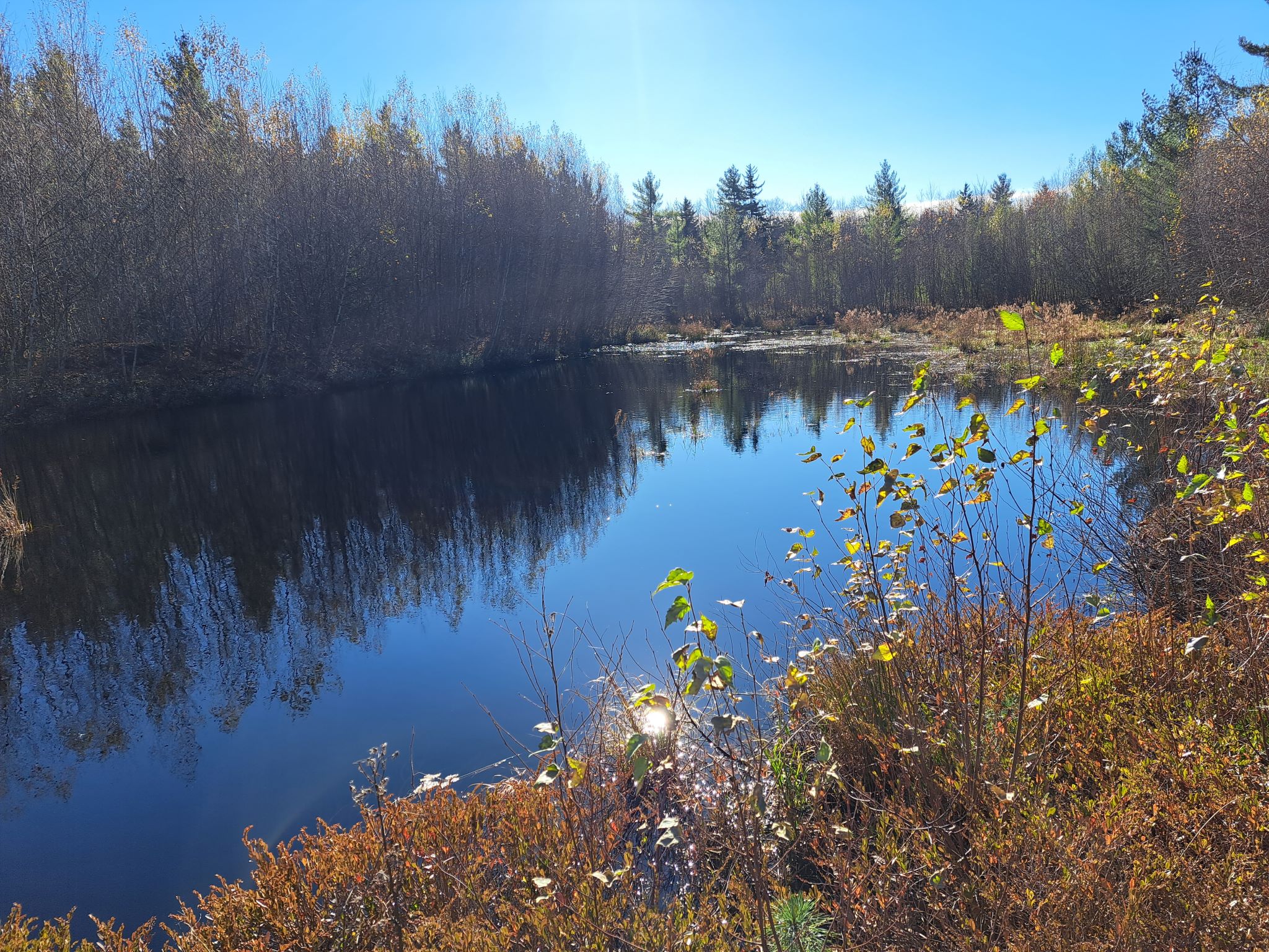 Listing Image 74