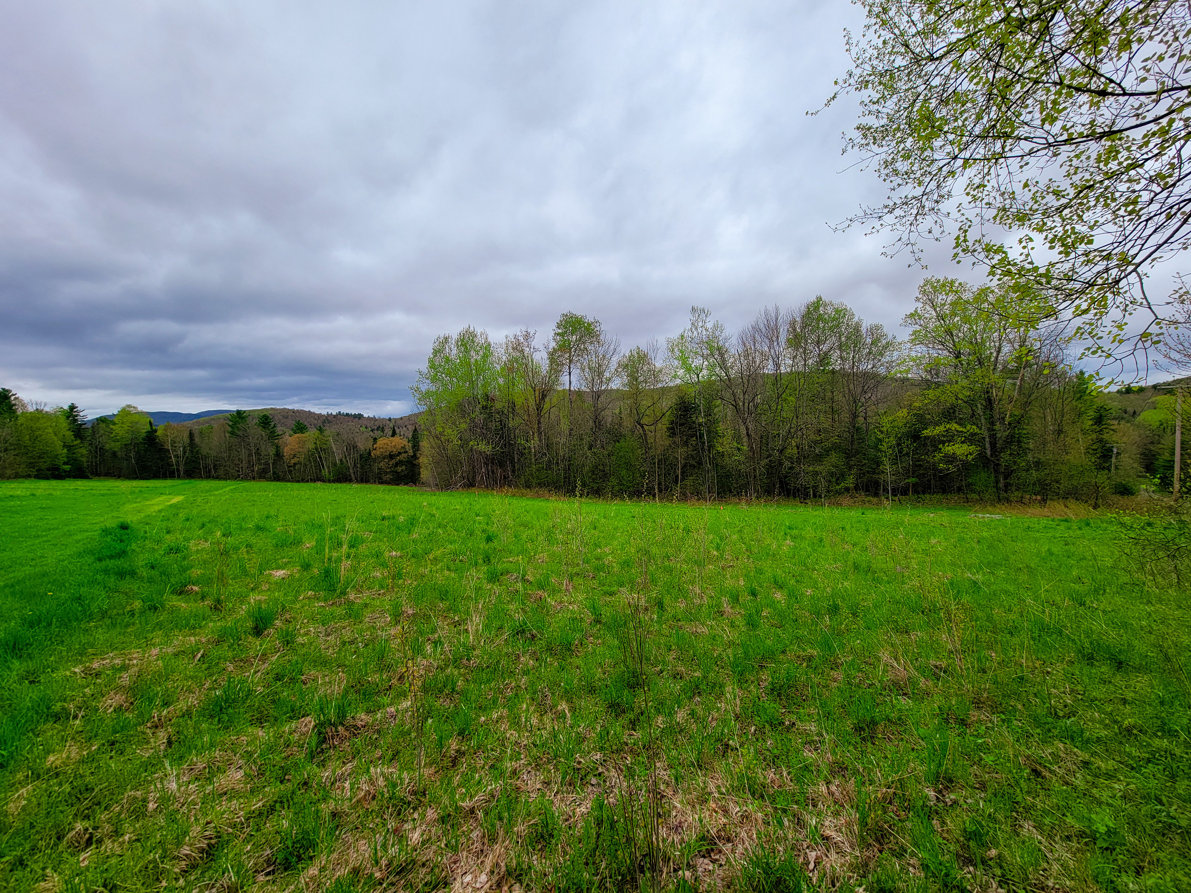 855 Campbell Rd - Waterford