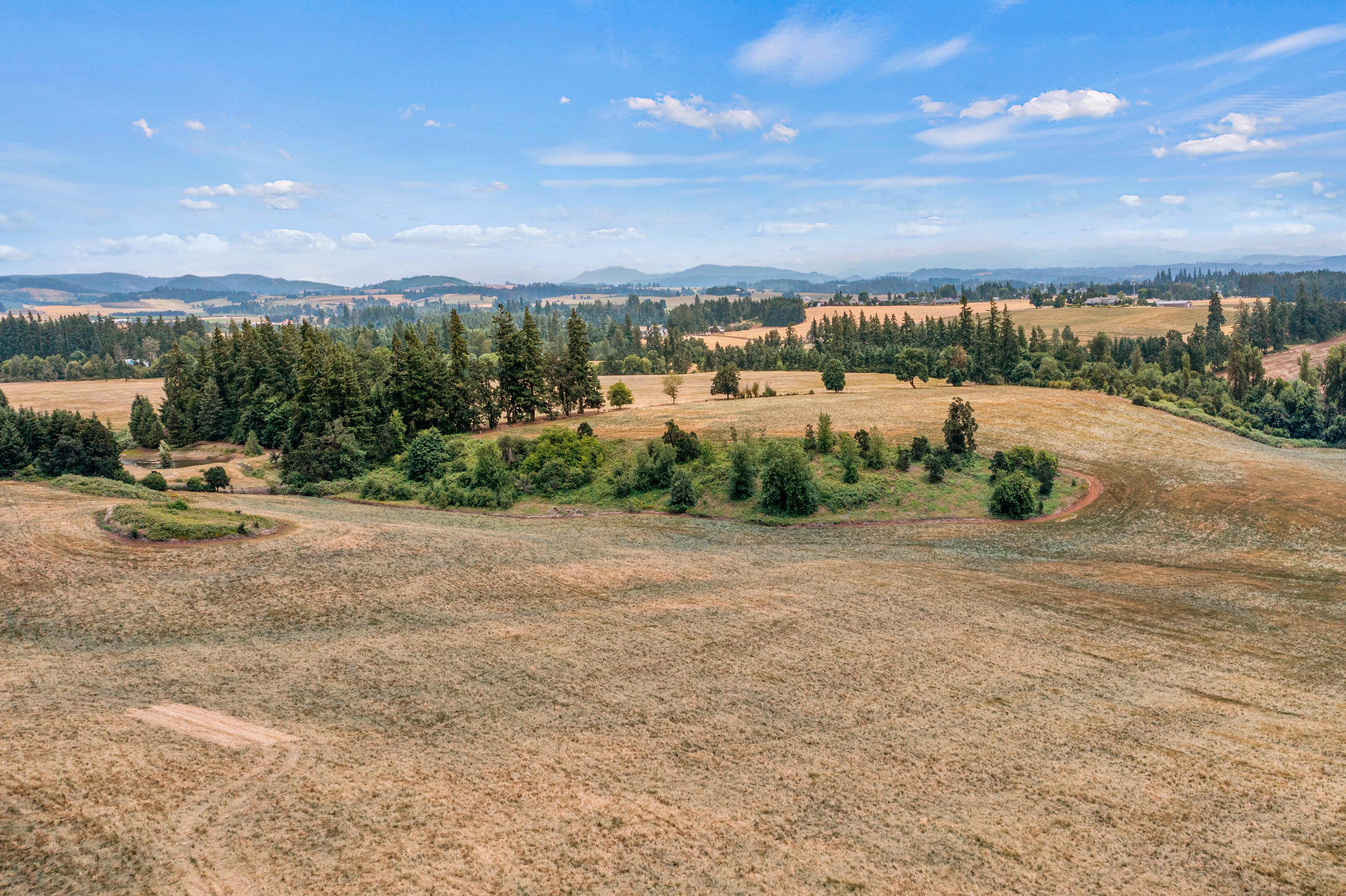 Sublimity 152 — Productive Willamette Valley Farm for Sale with Creek Frontage and Homesite Potential