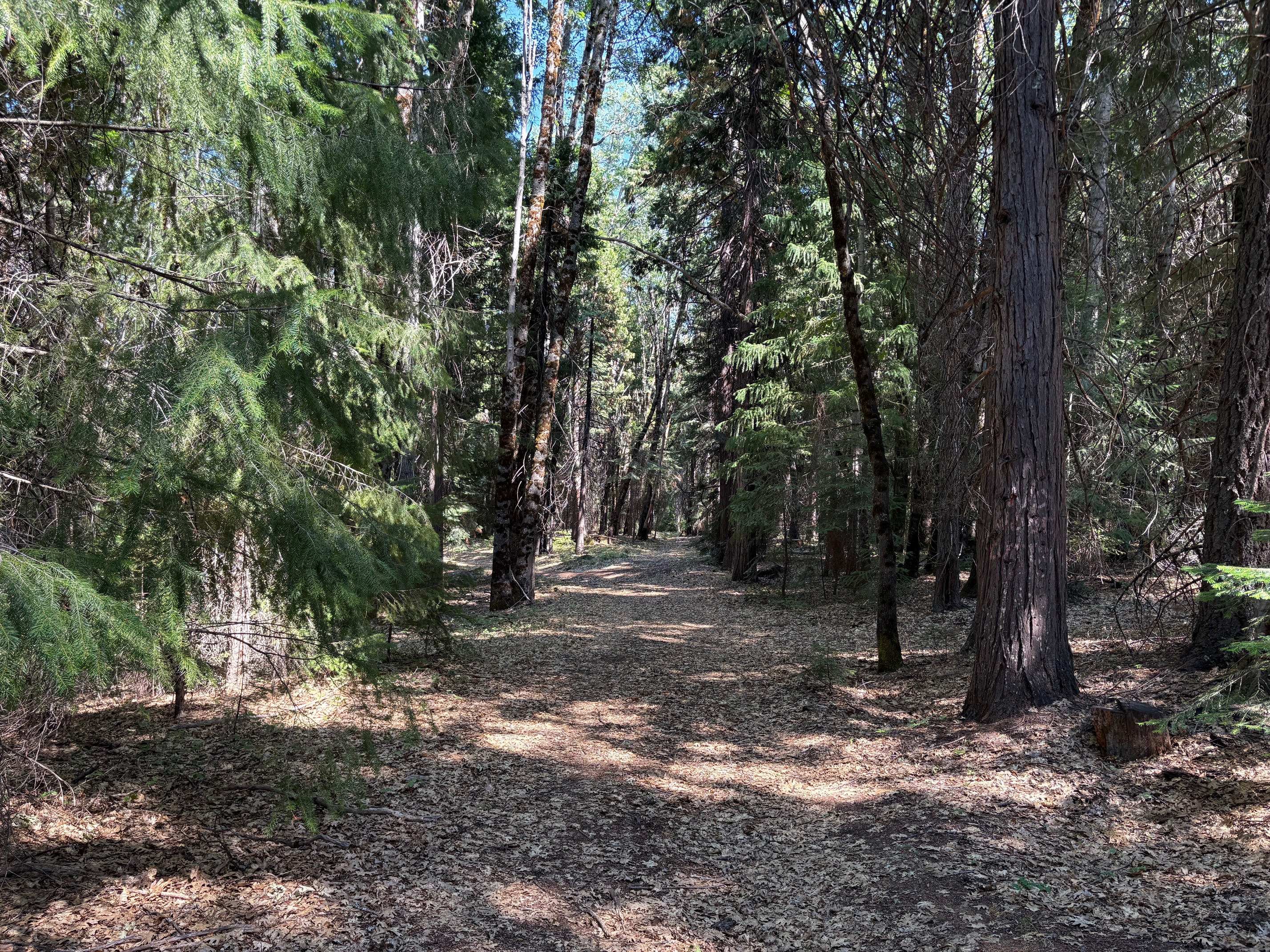 40 ACRES SISKIYOU (430)