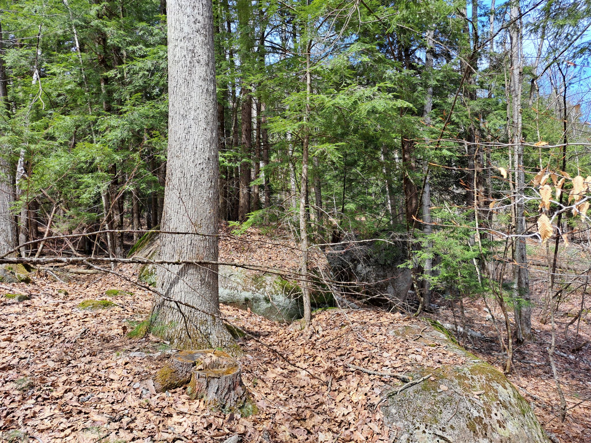 Listing Image 46