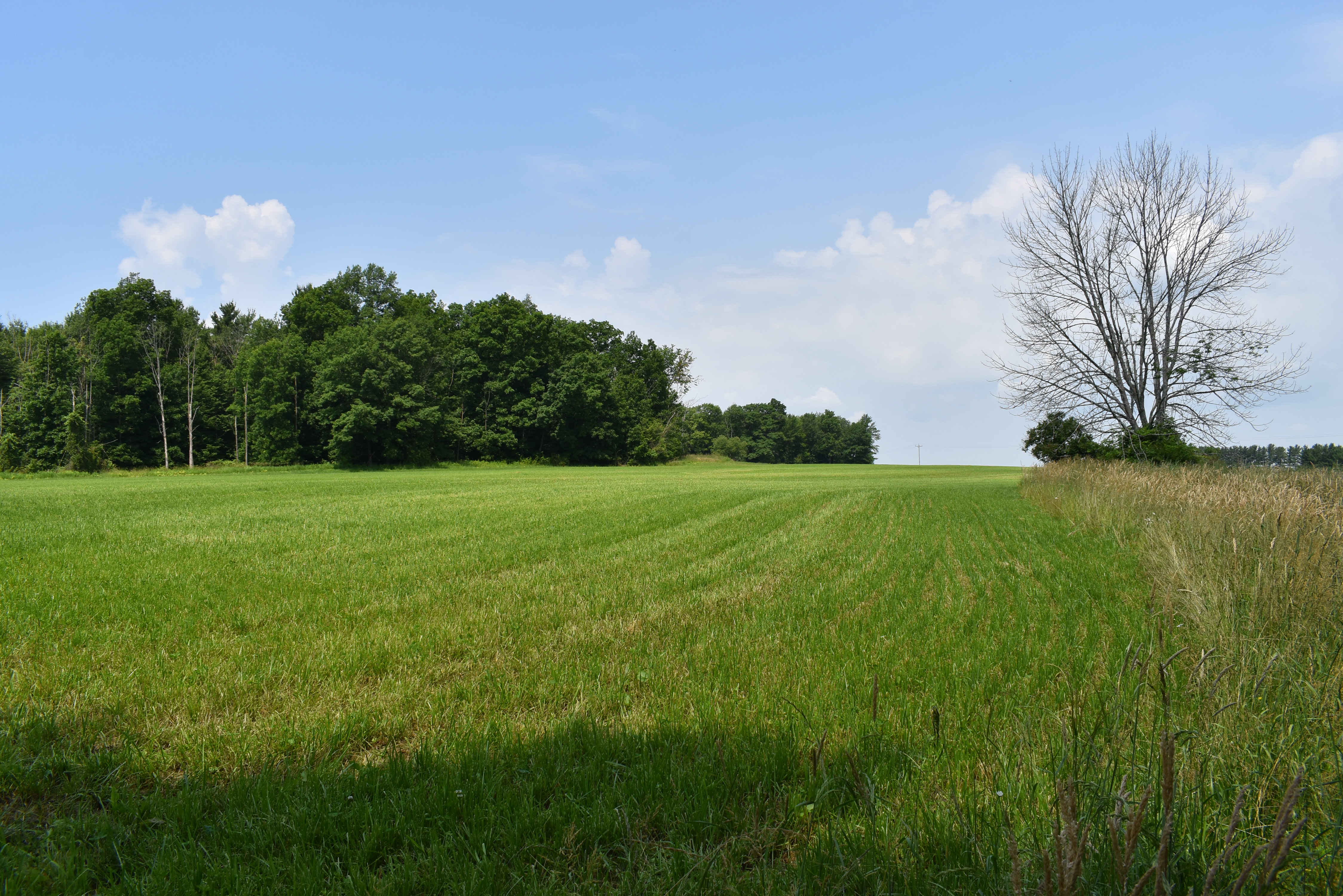 Listing Image 80