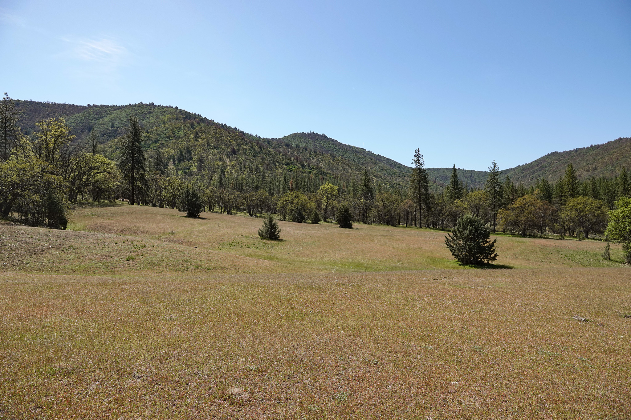 Scarface Acreage