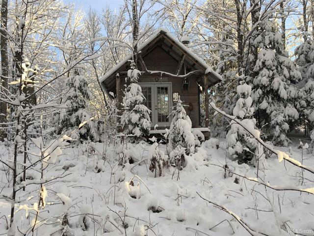 Remote Off Grid 80 A w/Cabin 50173610
