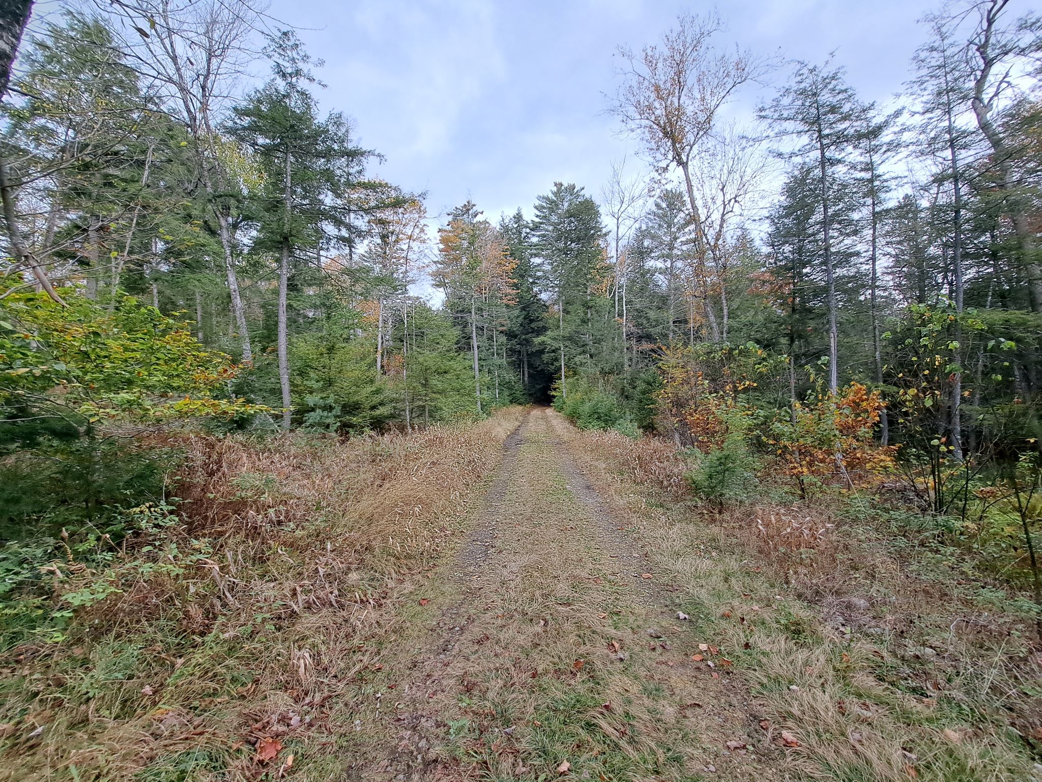 Hudson River Woods & Water