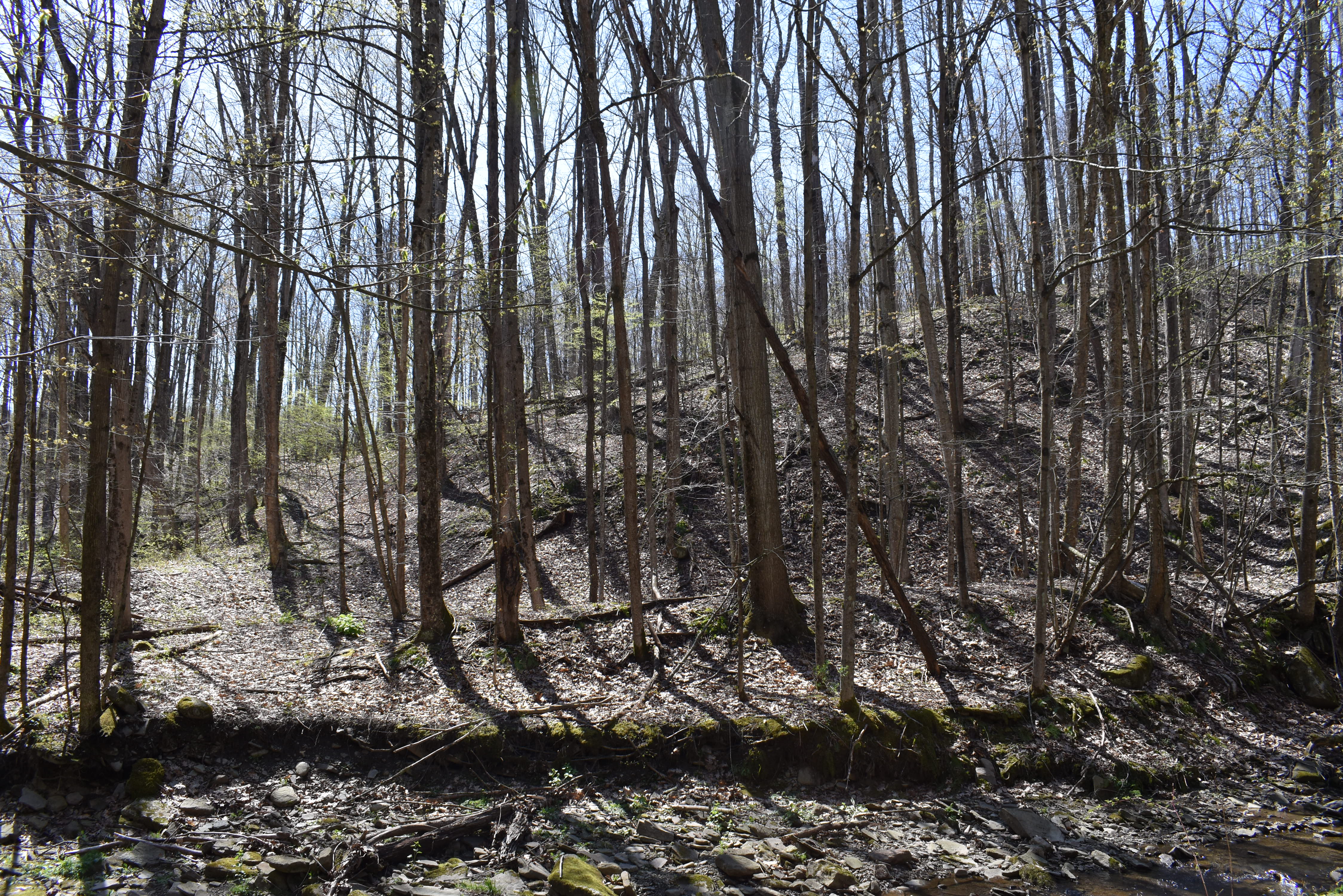 Listing Image 40