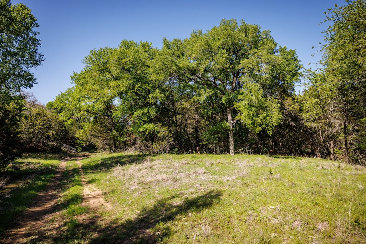 Listing Image 65