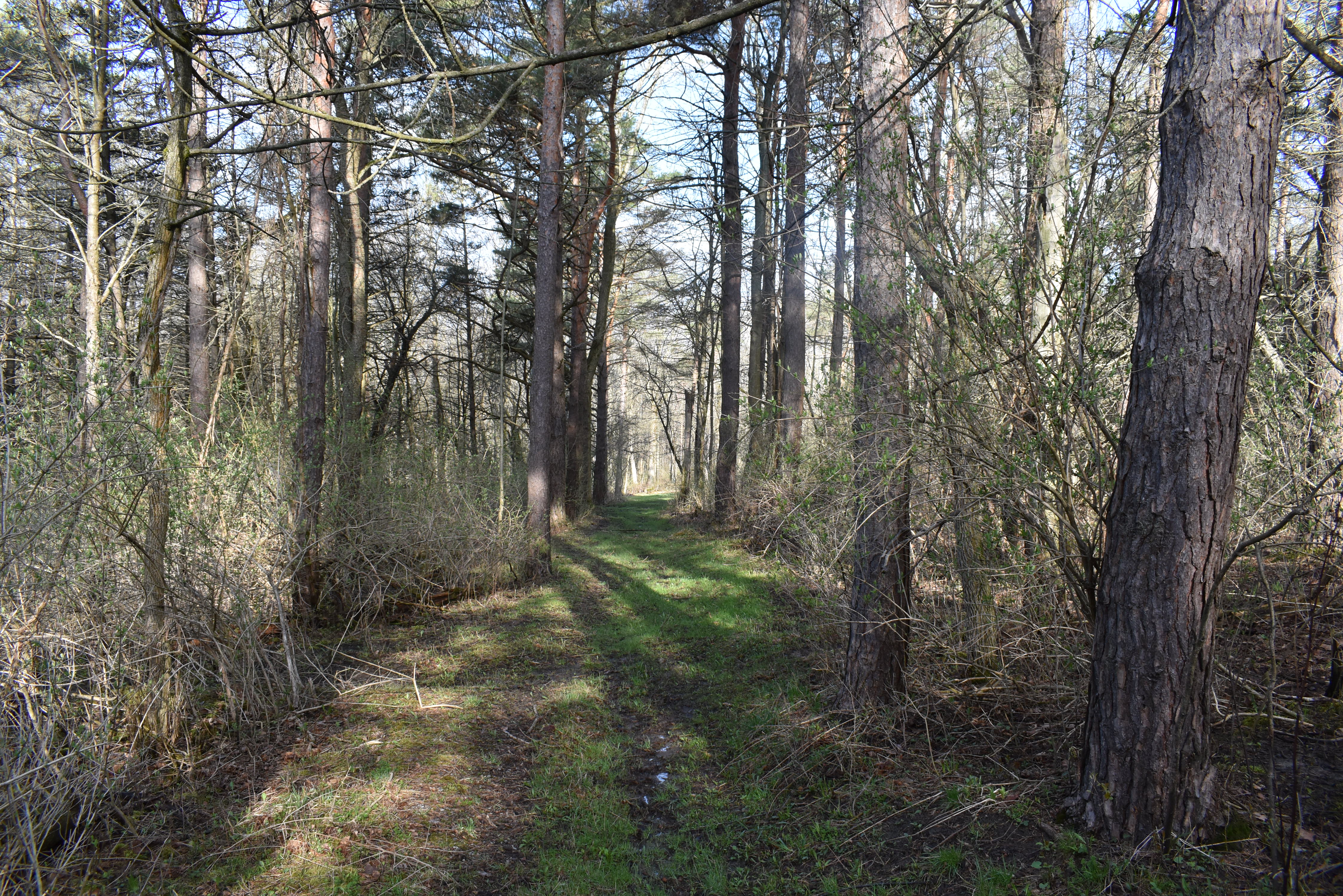 Listing Image 98