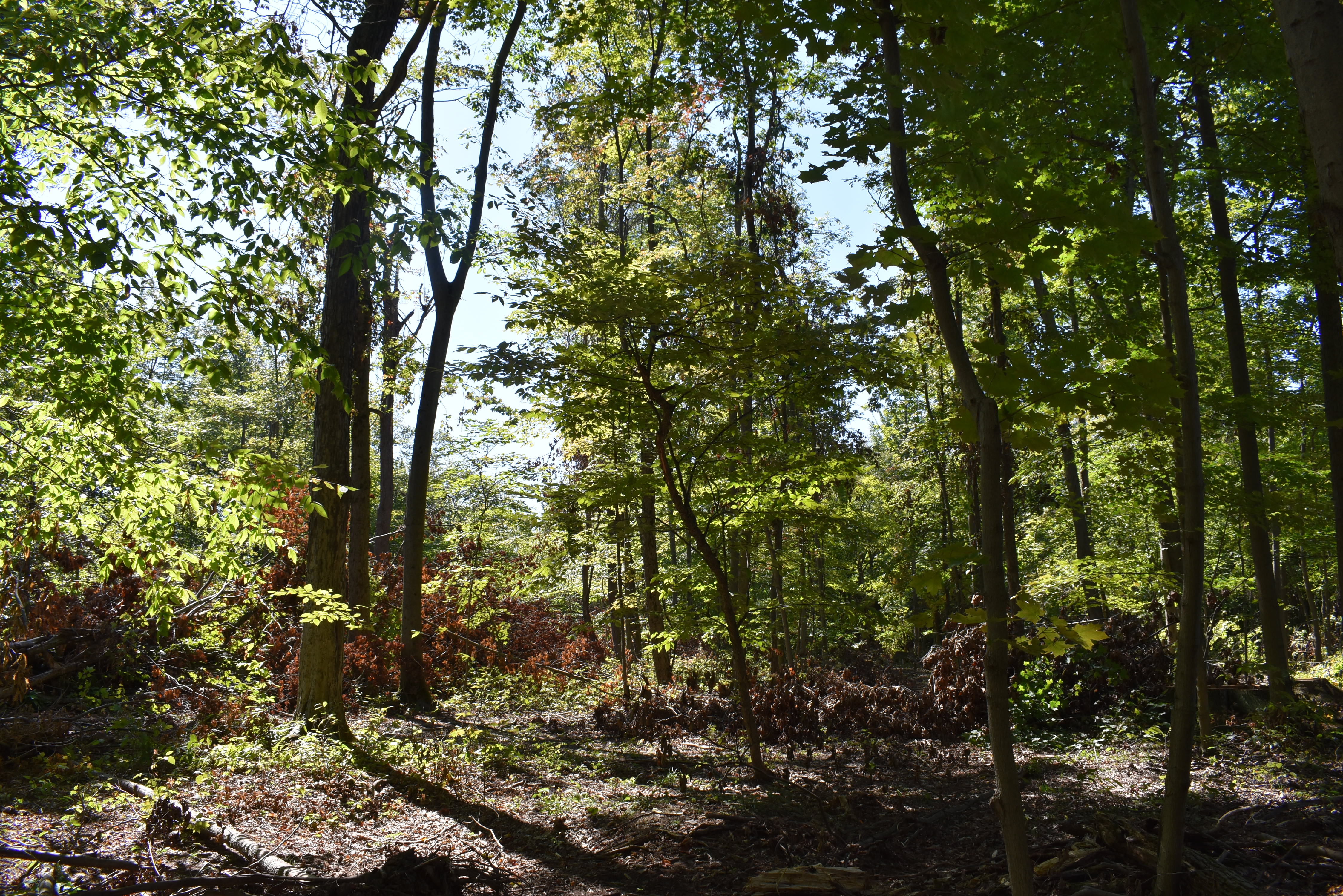 Hunter's Hidden Treasure