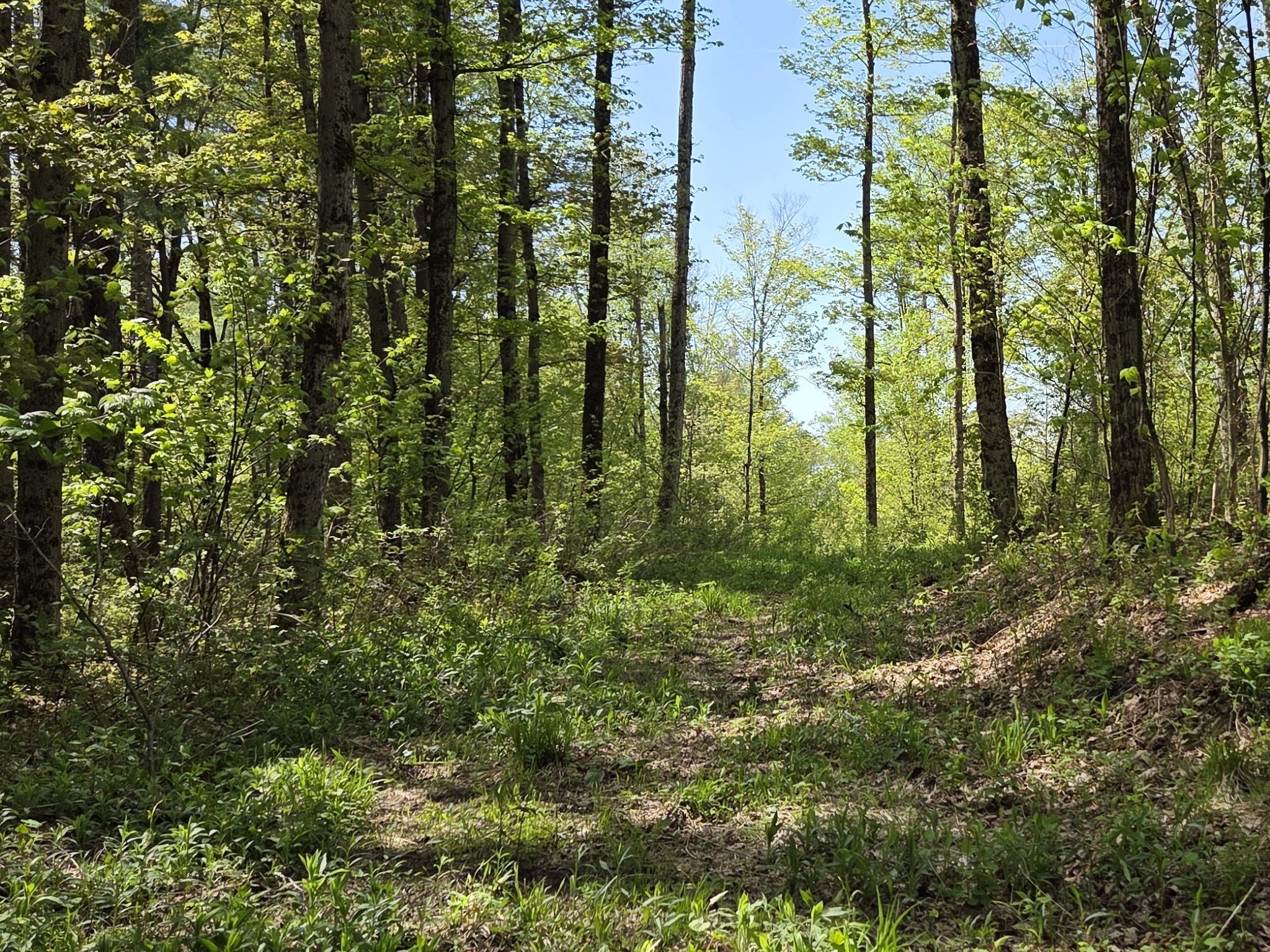 Listing Image 17