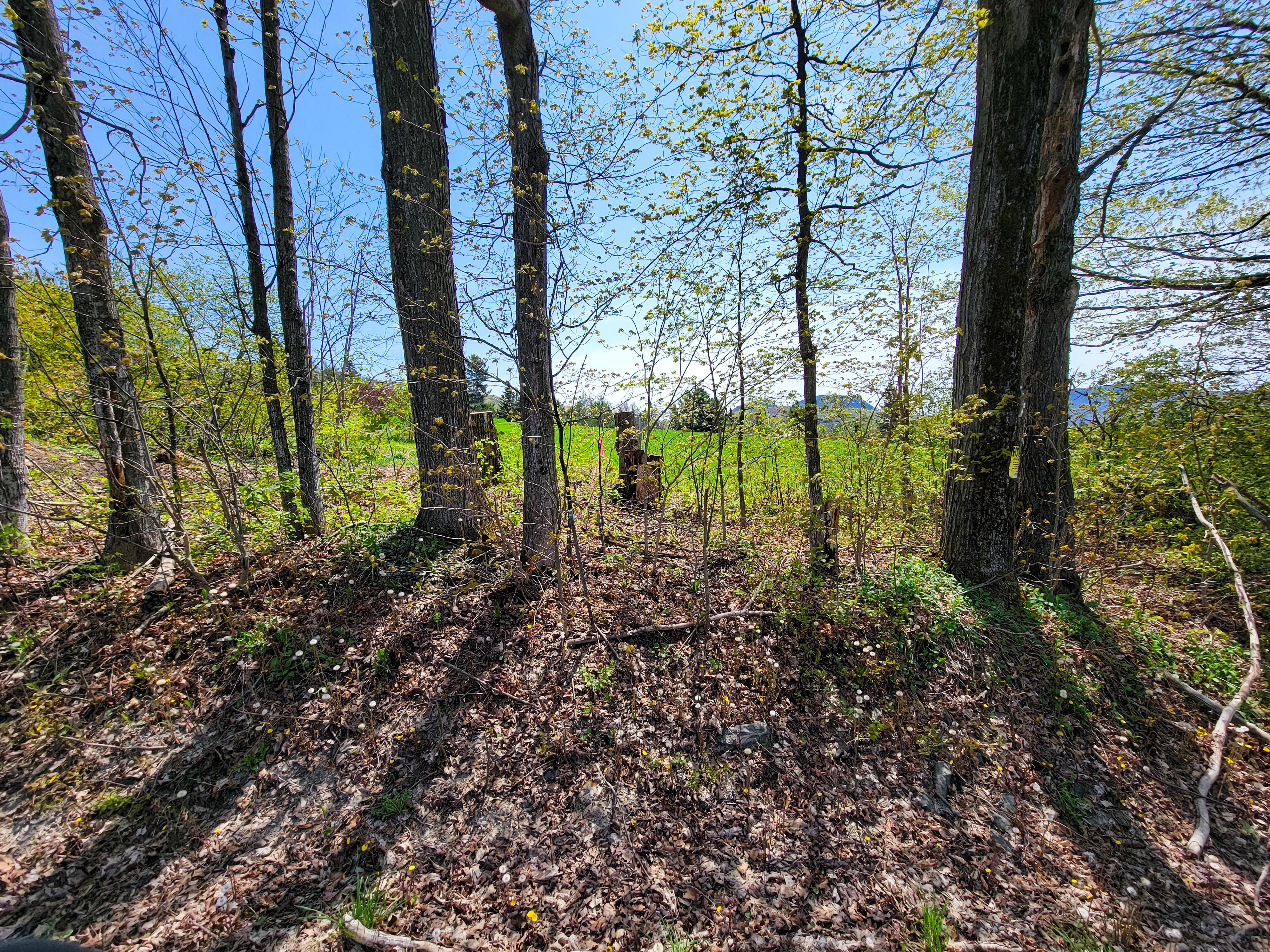 350 Hinton Hill Rd - Westmore