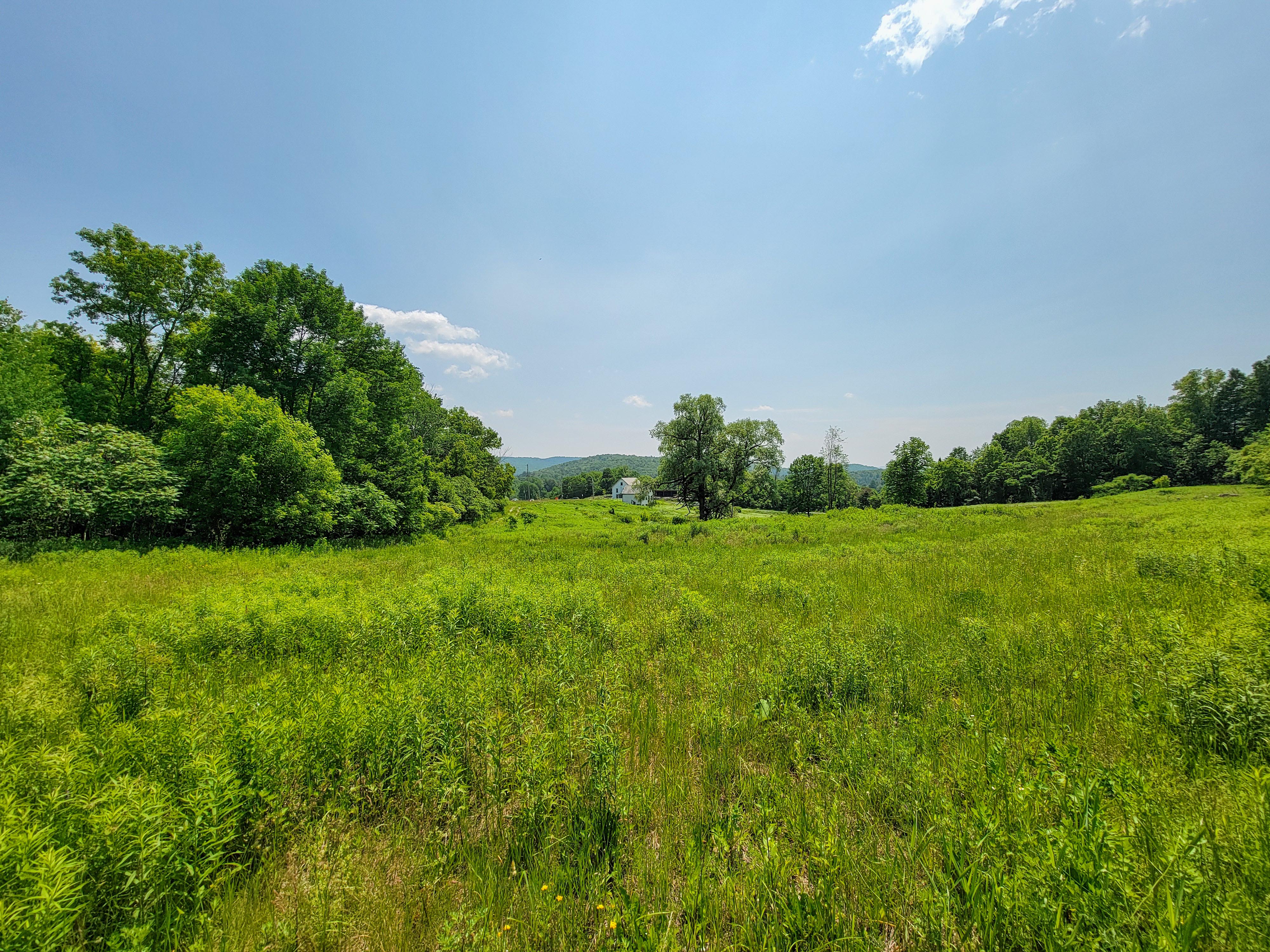 21 Nickerson Rd - Brandon
