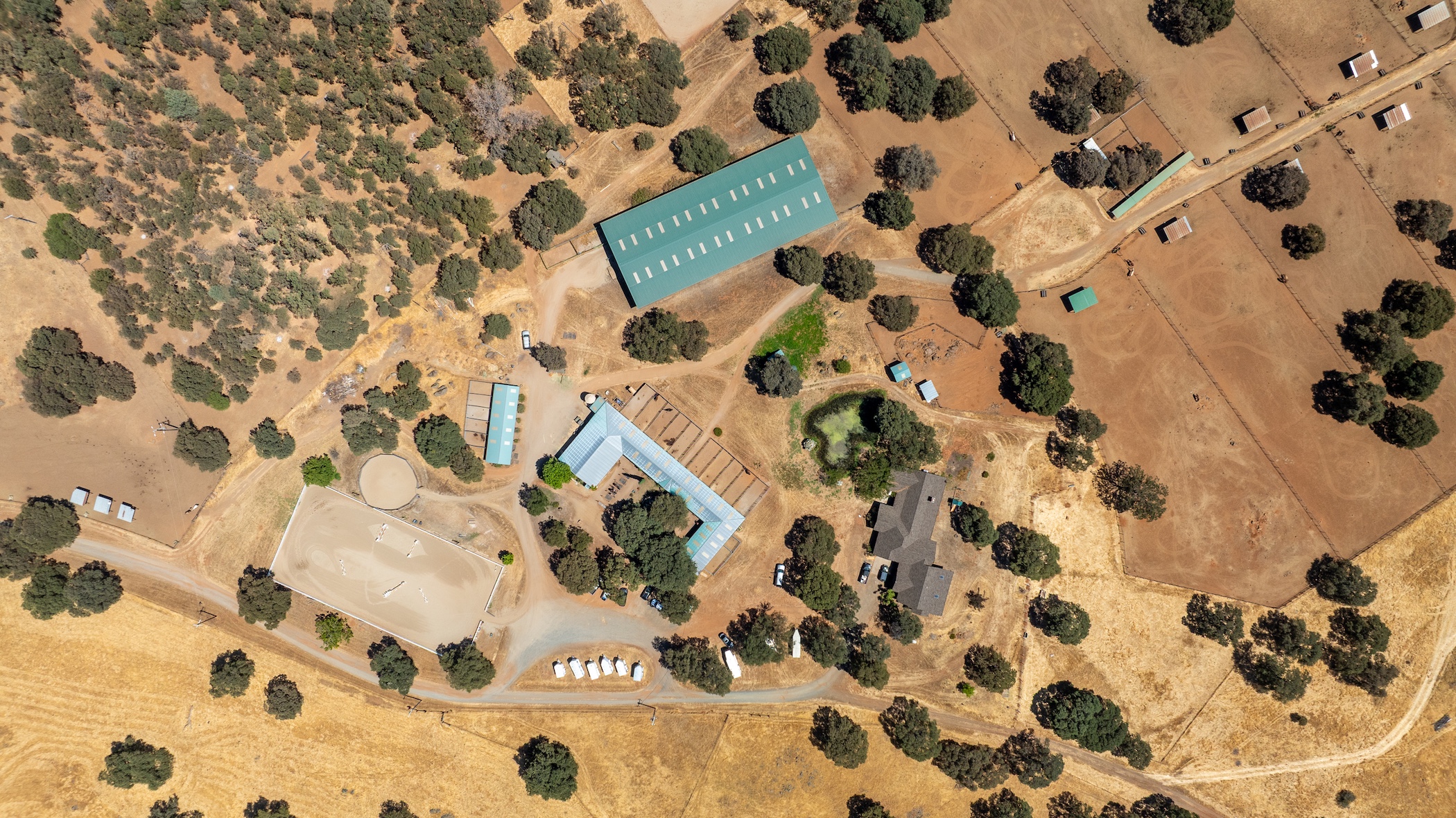 Blue Fountain Farm