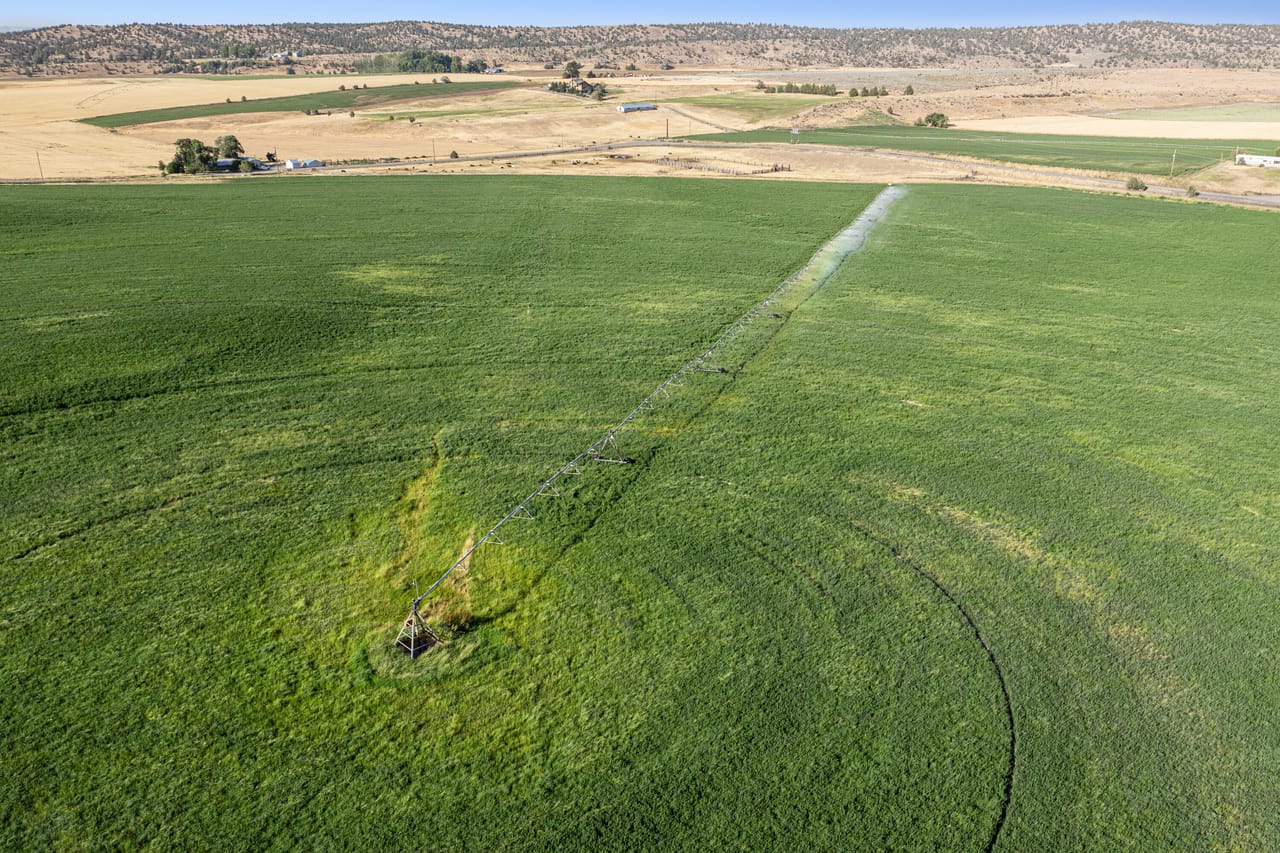 NE Cherry Lane - Productive Irrigated Farm for Sale