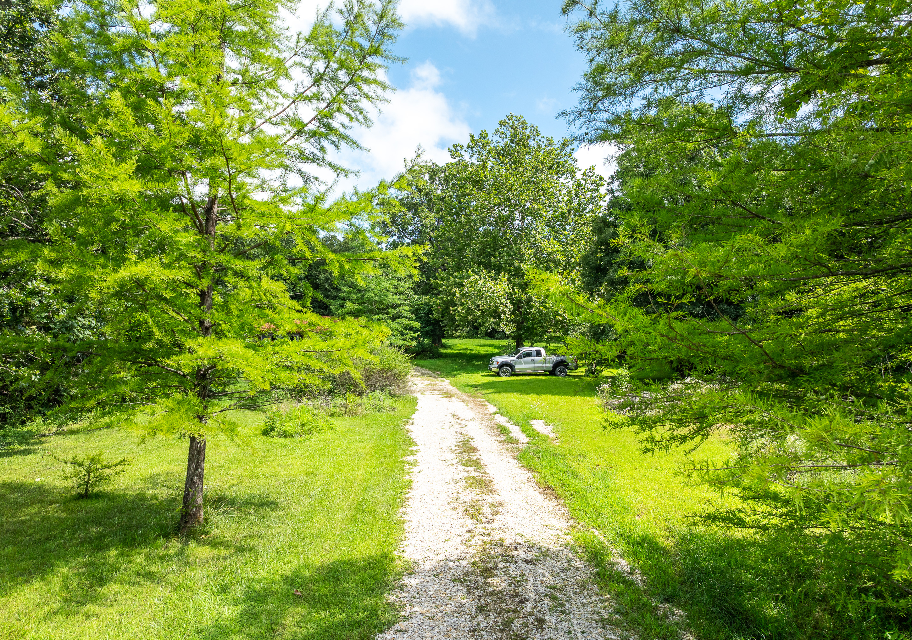 Verdant Bloom Retreat