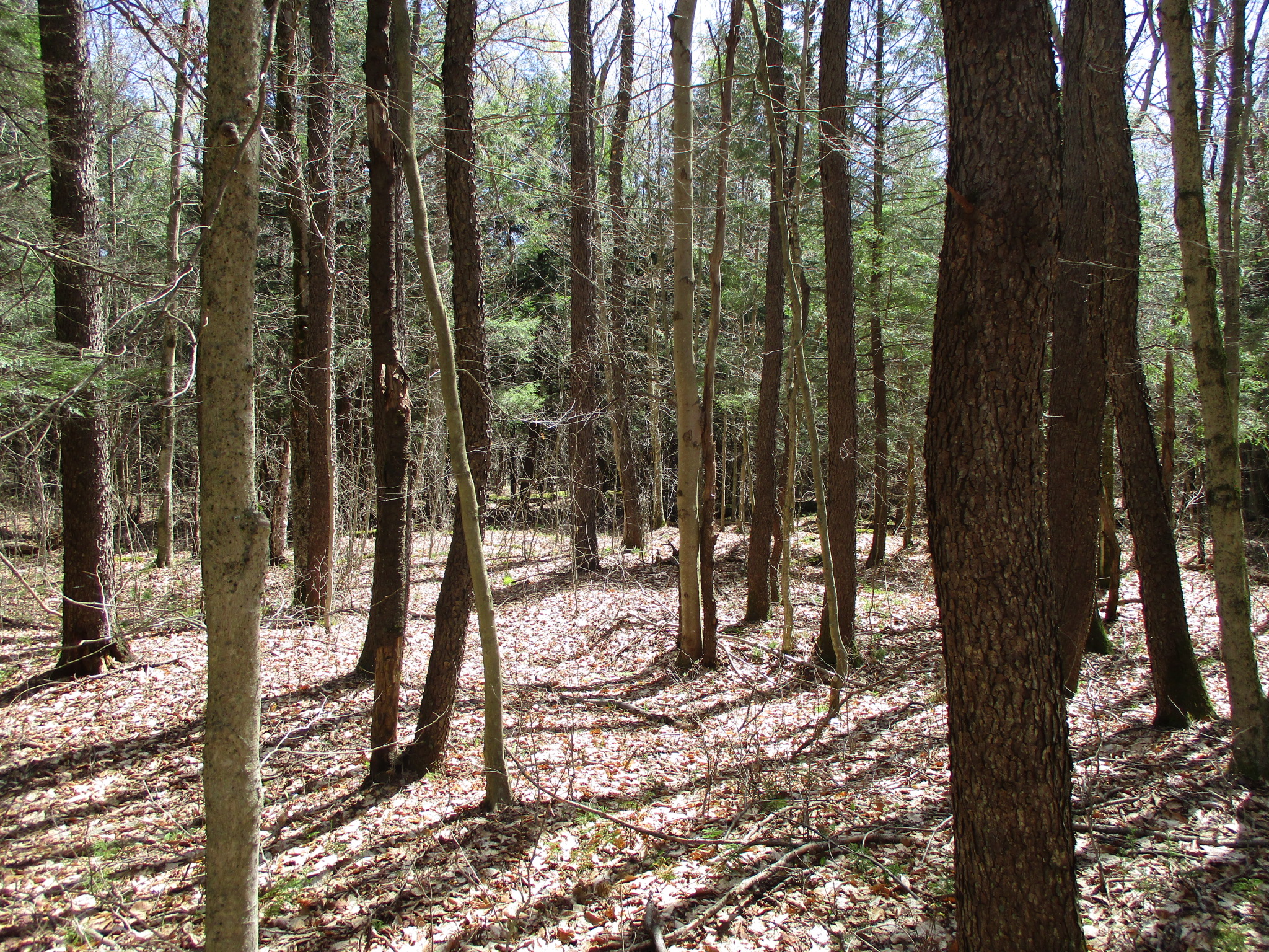 Listing Image 17