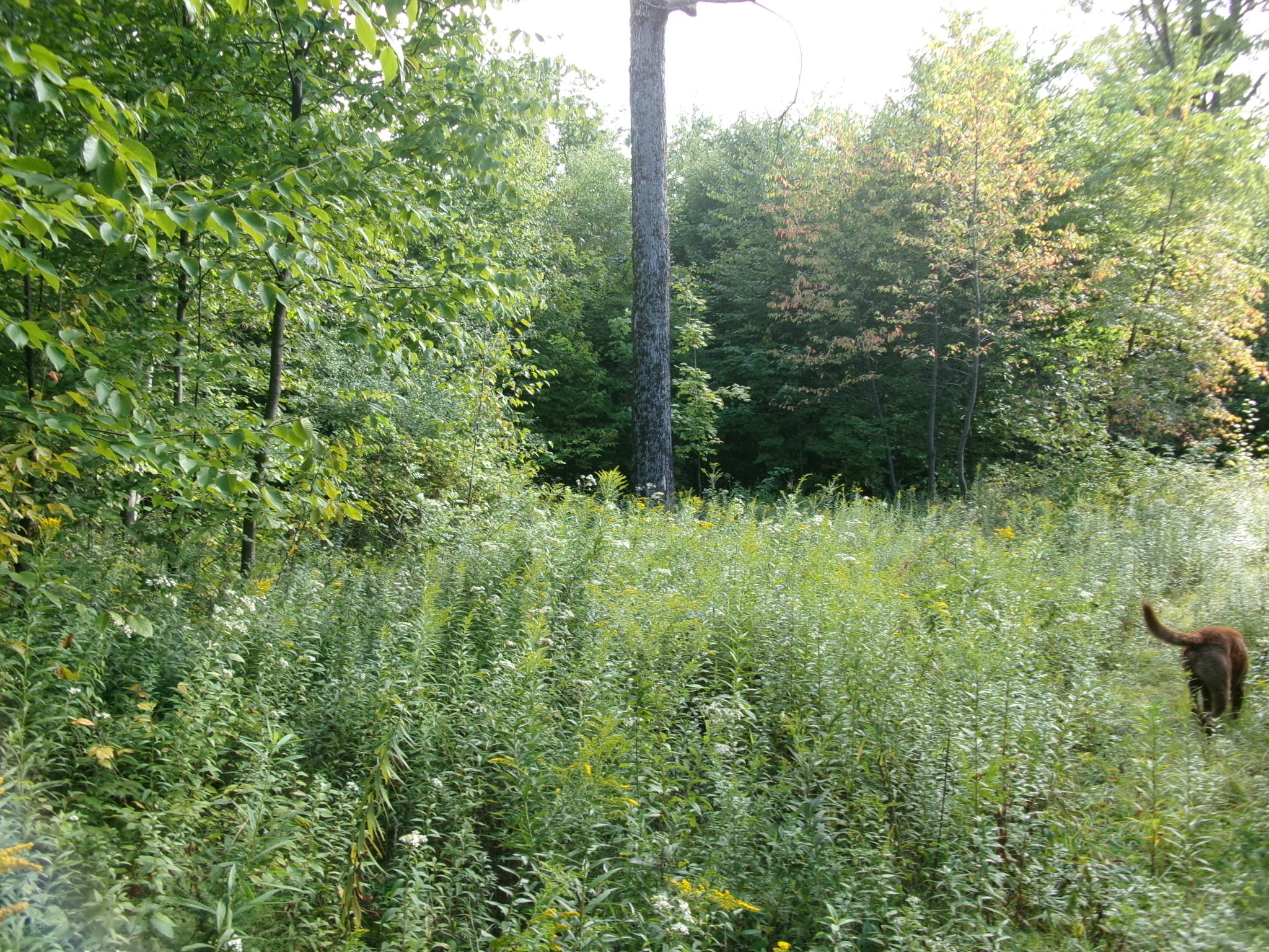Listing Image 16