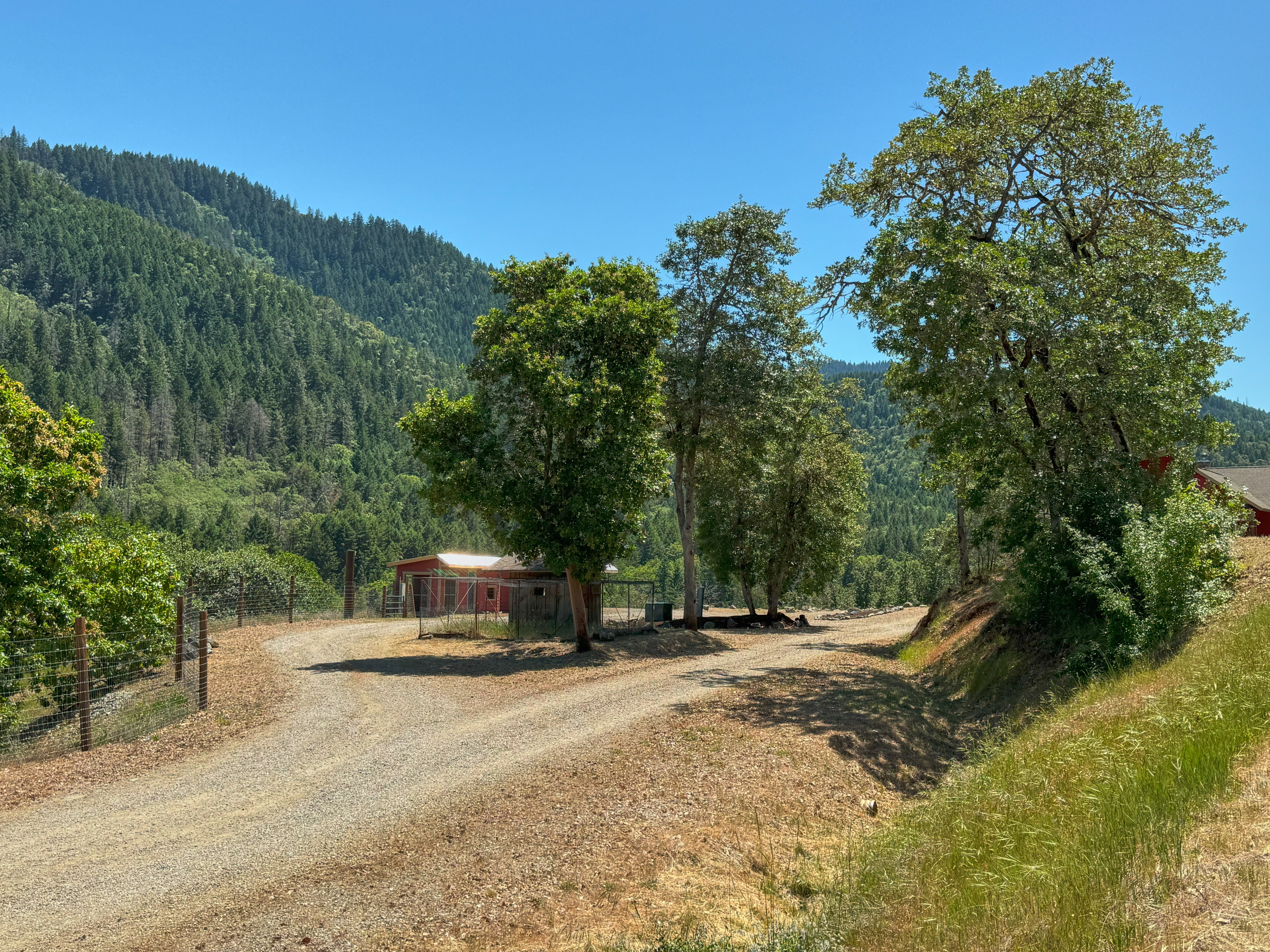 Listing Image 63