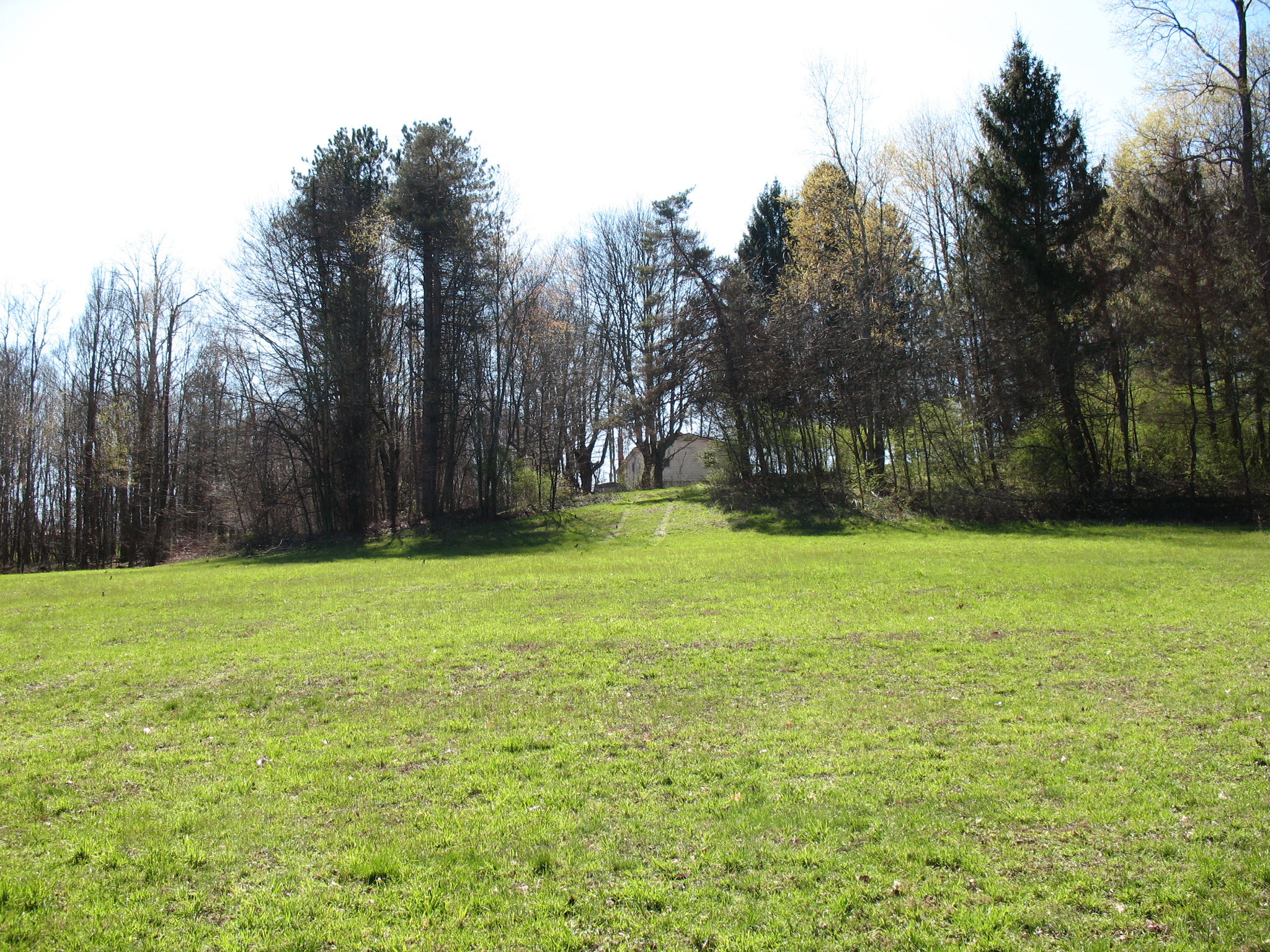 Listing Image 62