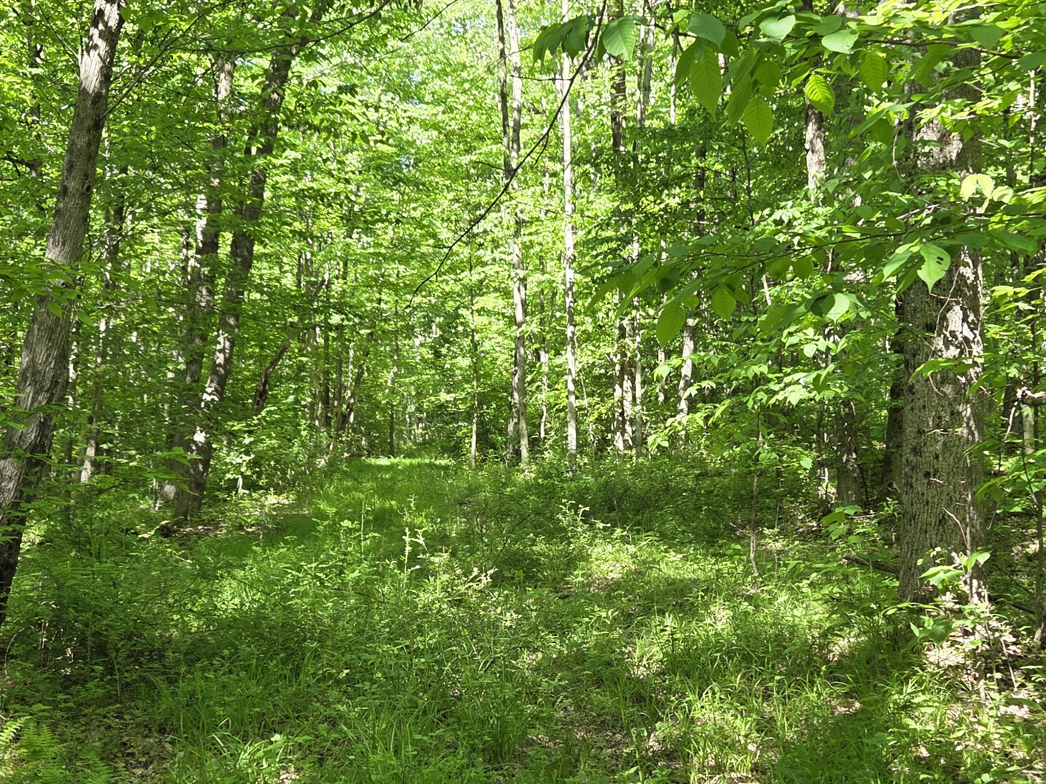 Listing Image 46