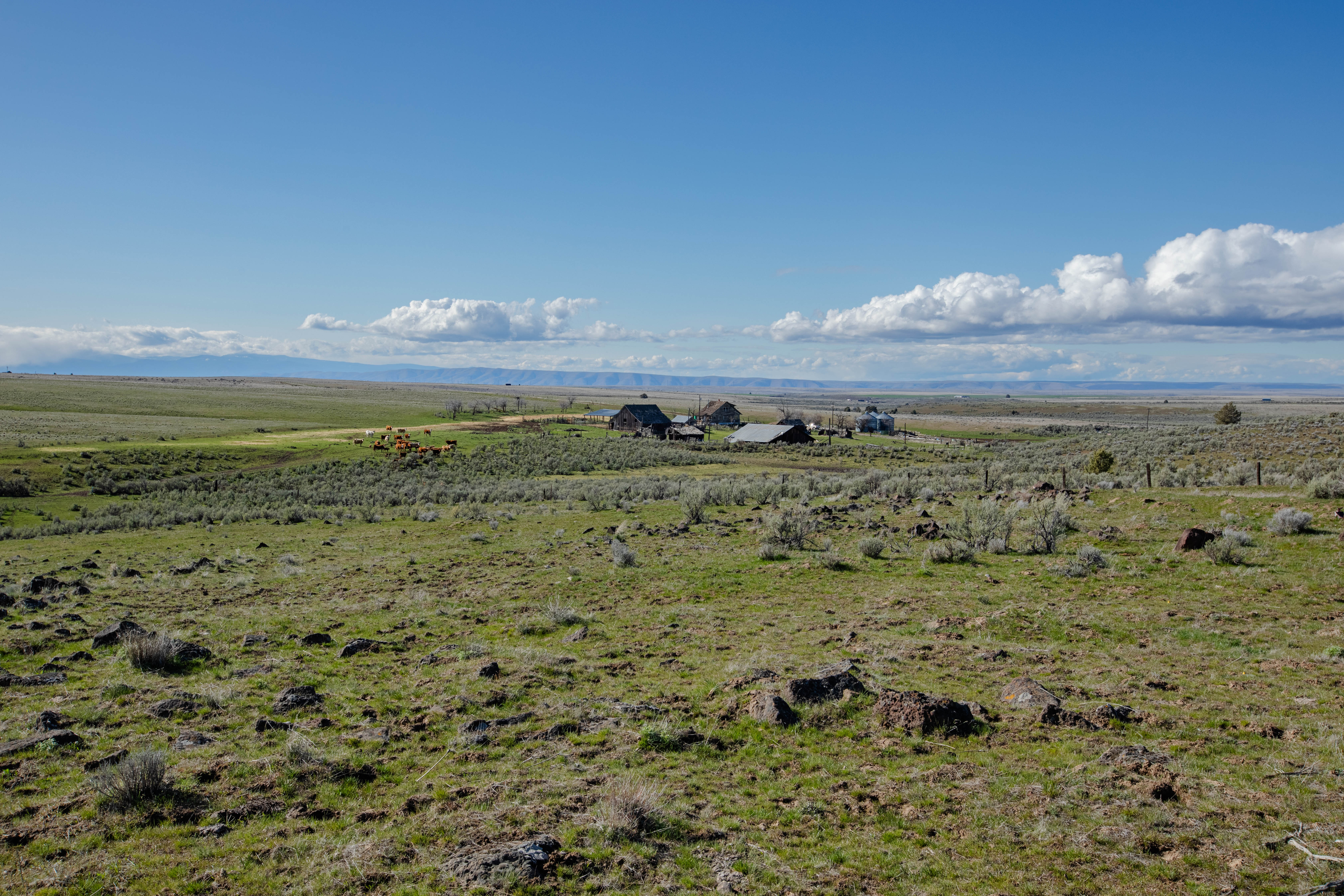 94072 Wilson Lane - Sherman County Farm for Sale