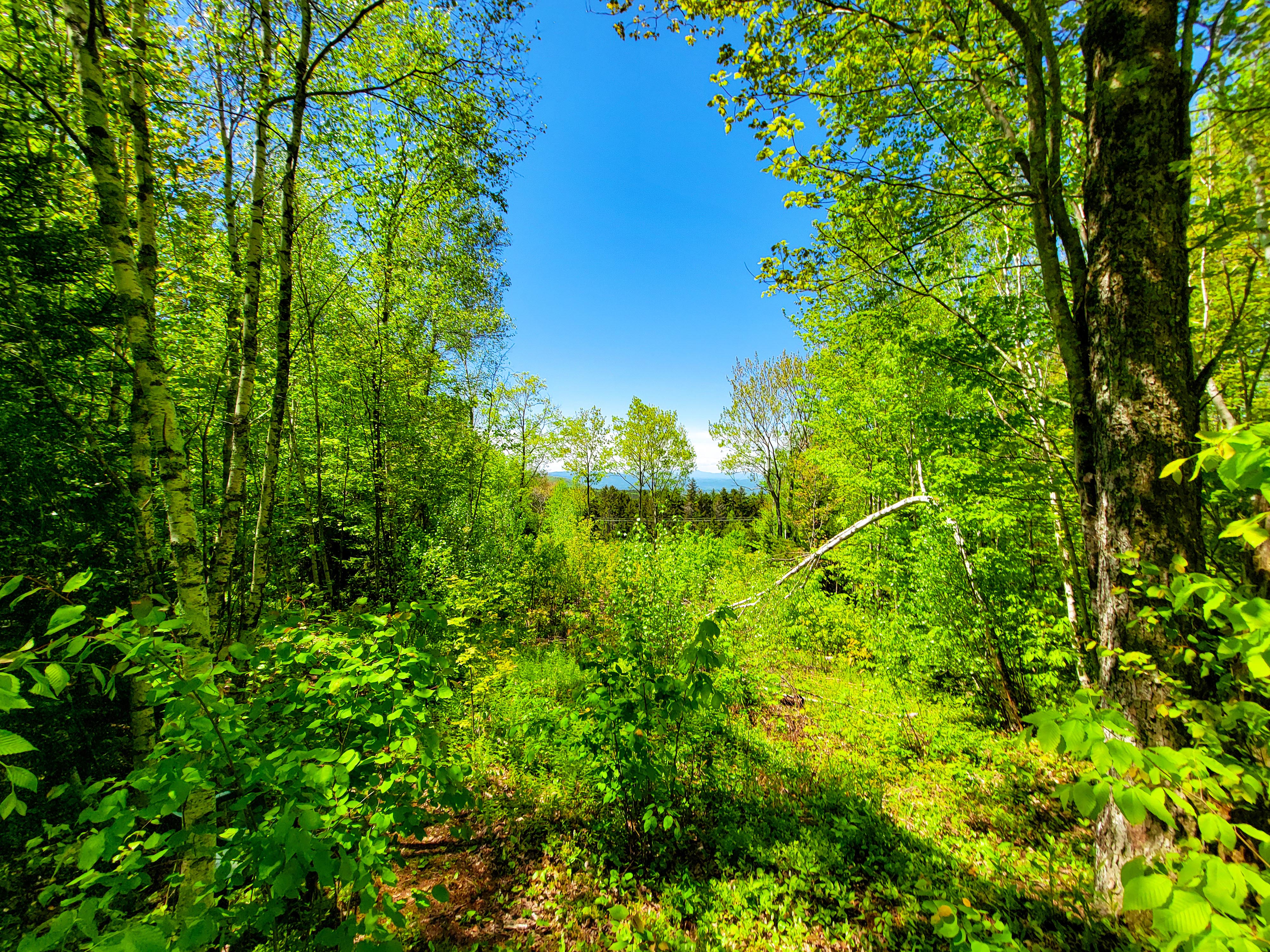 925 Hathaway Rd - Goshen