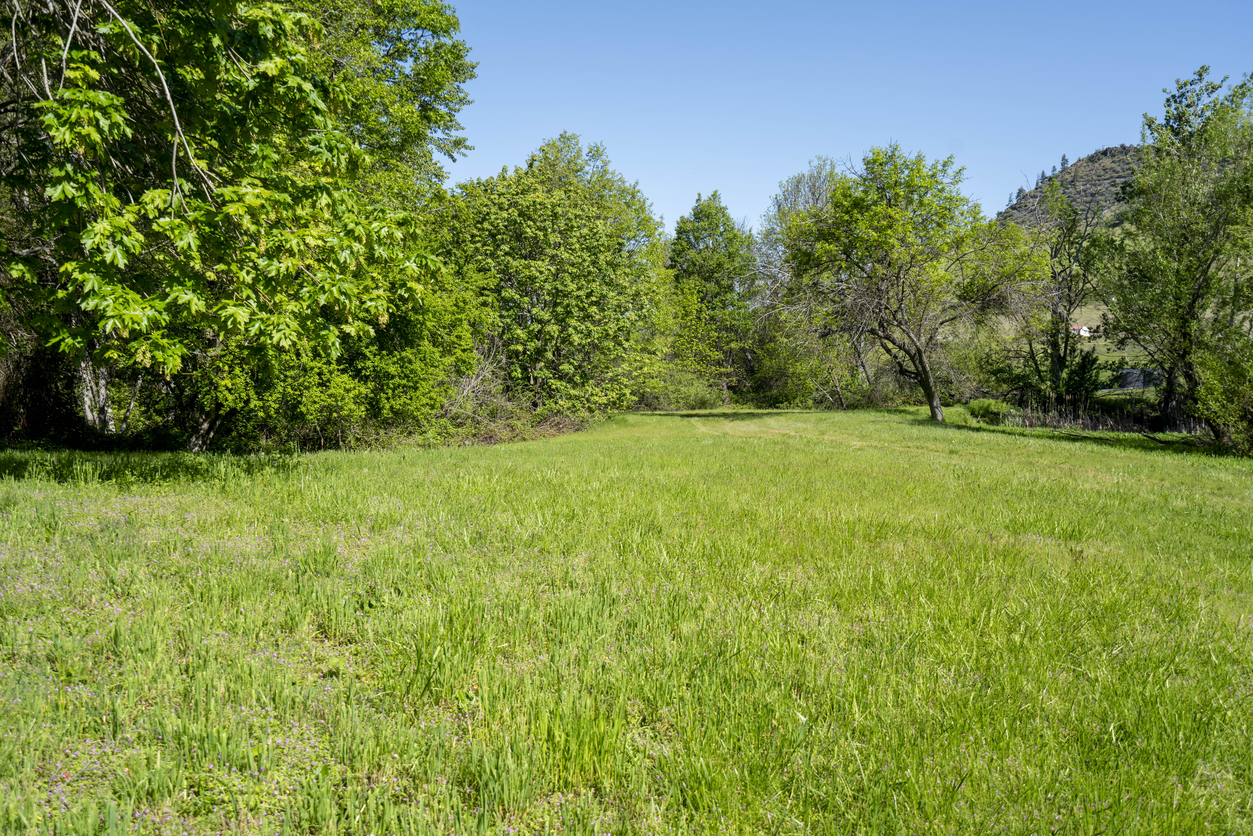 Listing Image 58
