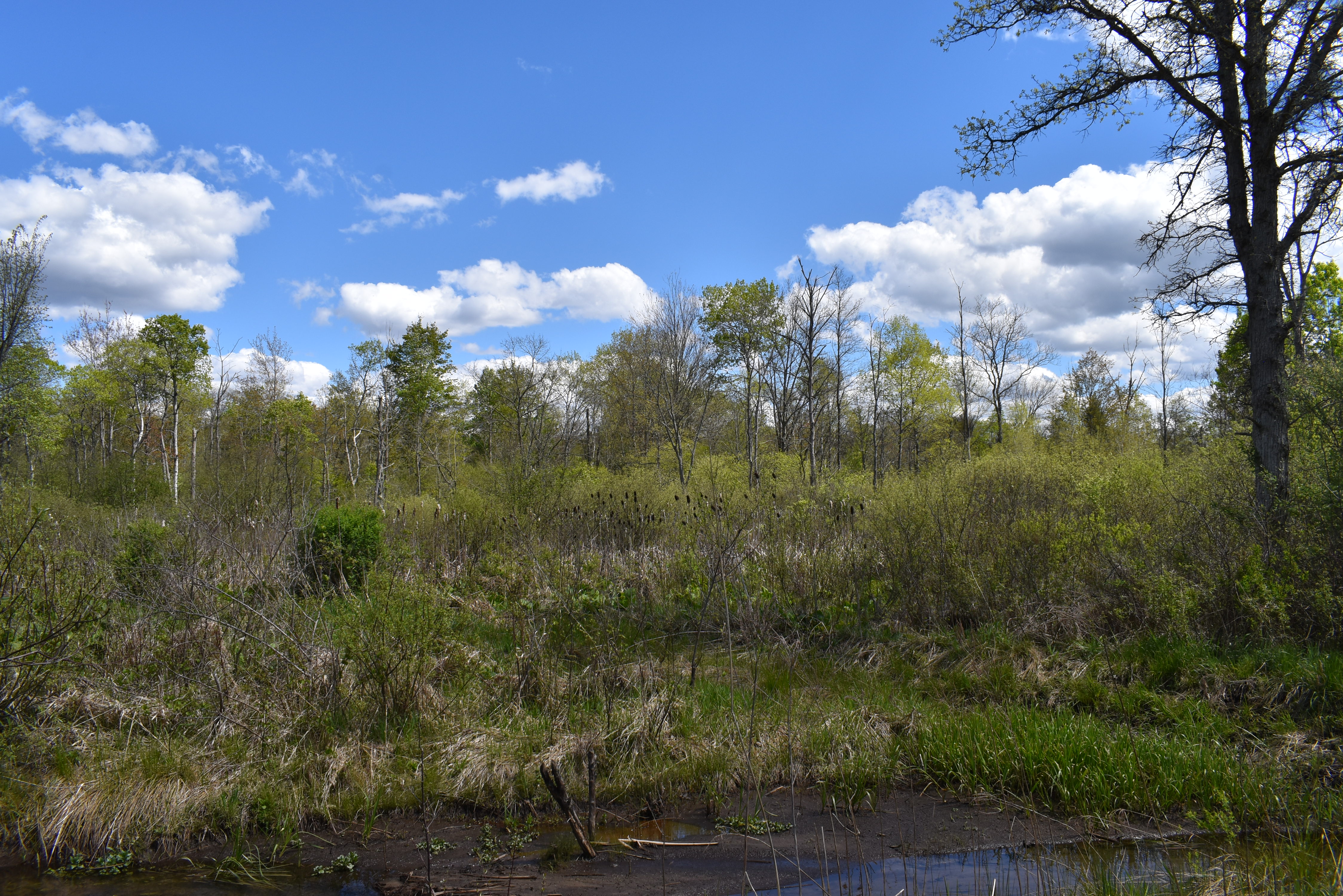 Listing Image 27