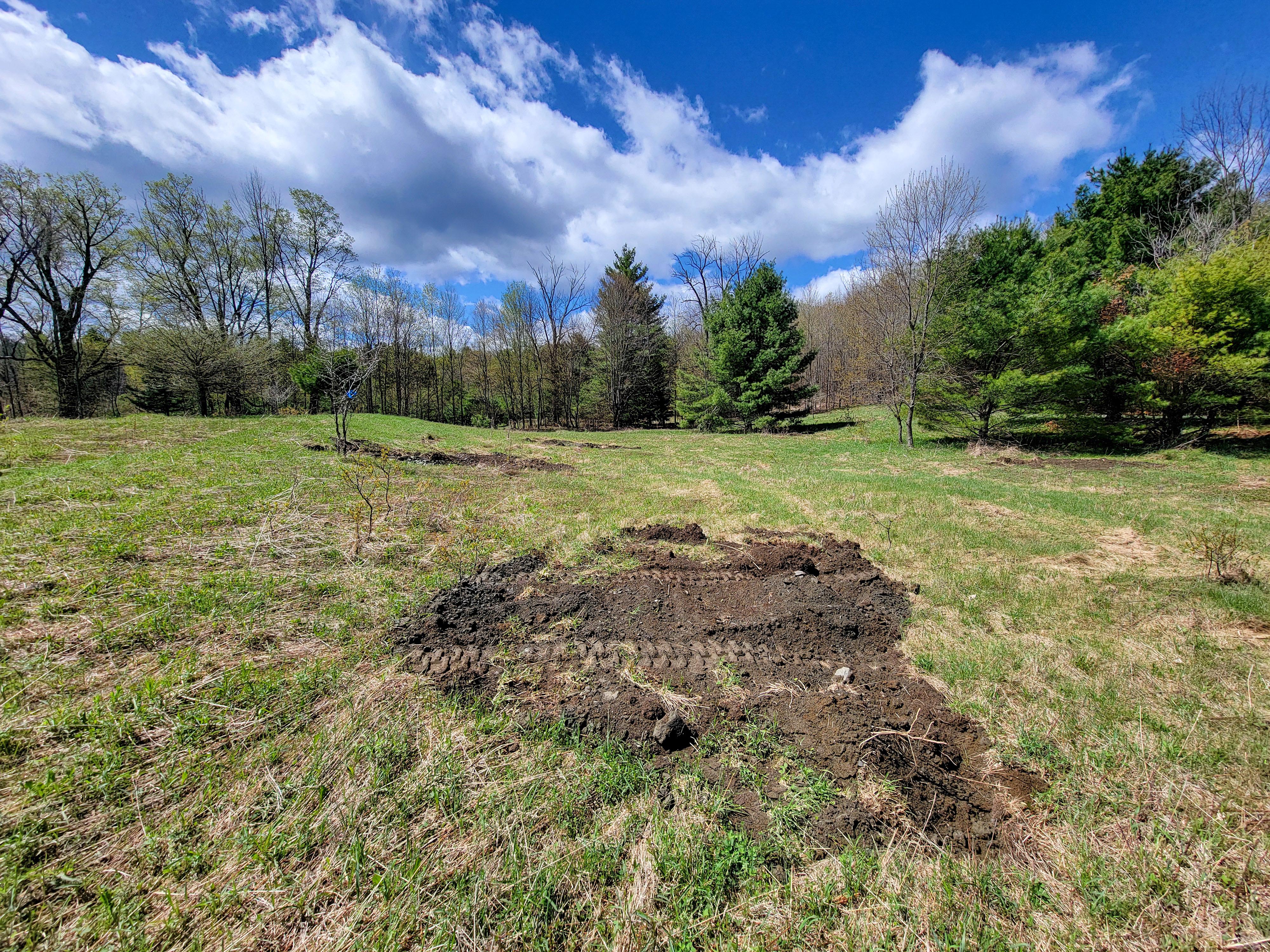 Listing Image 29