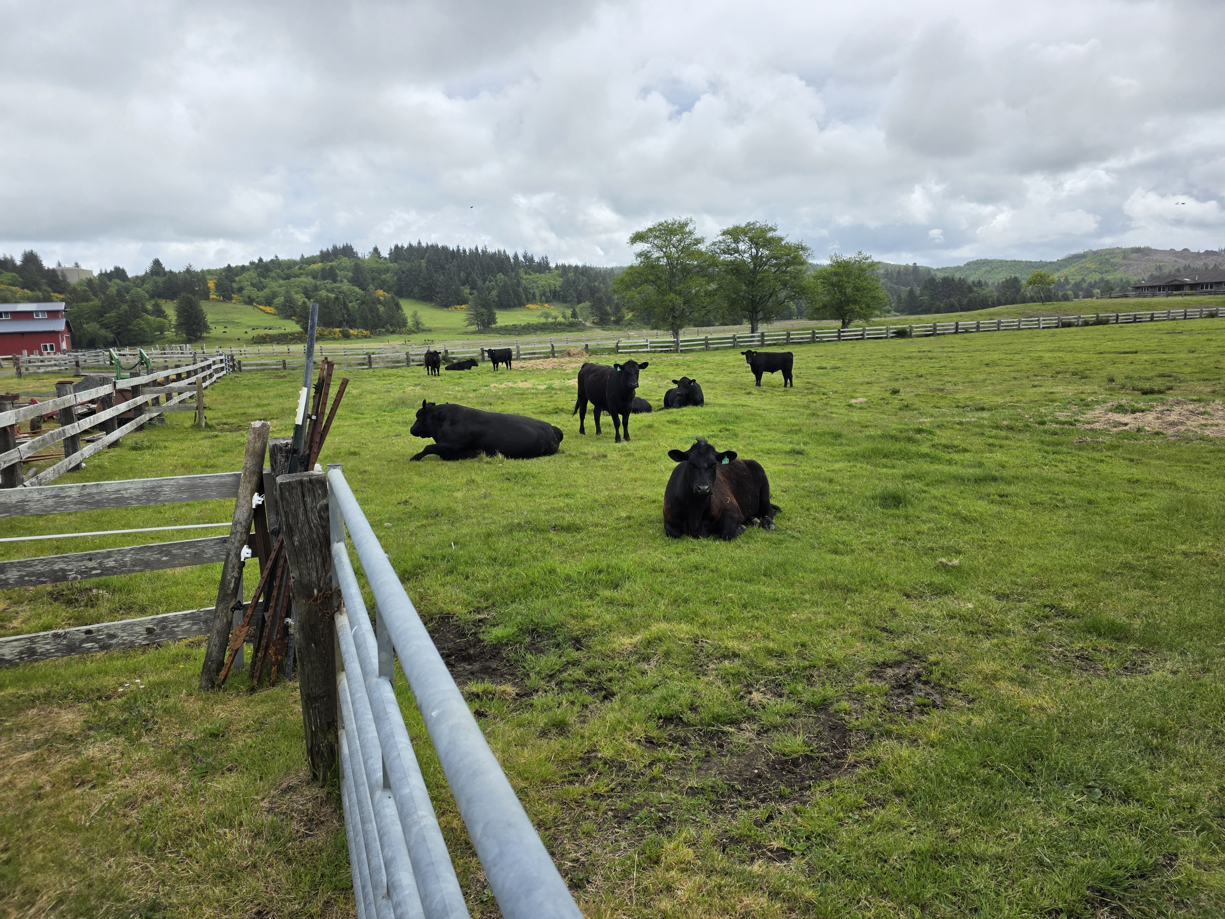 Tagg Ranch