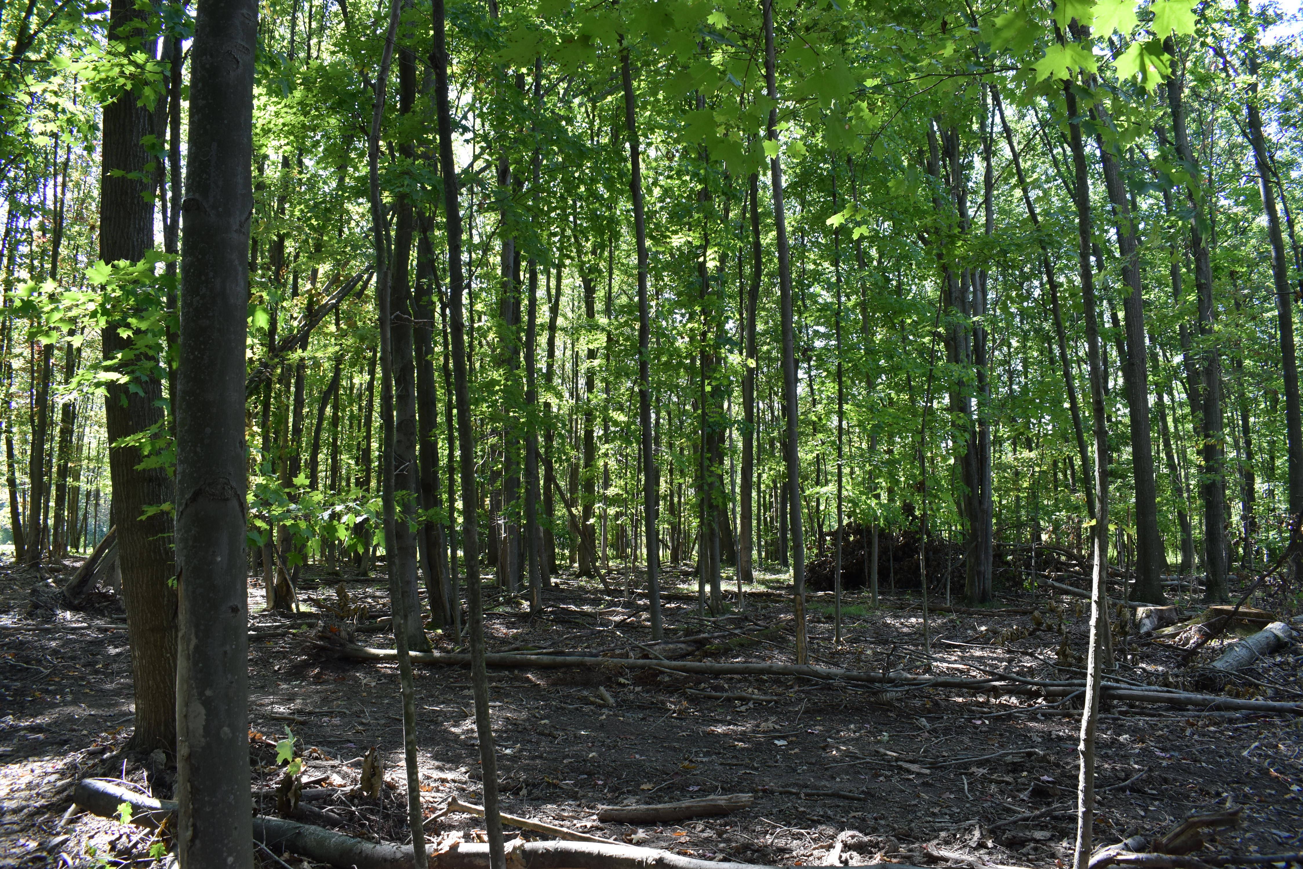 Hunter's Hidden Treasure
