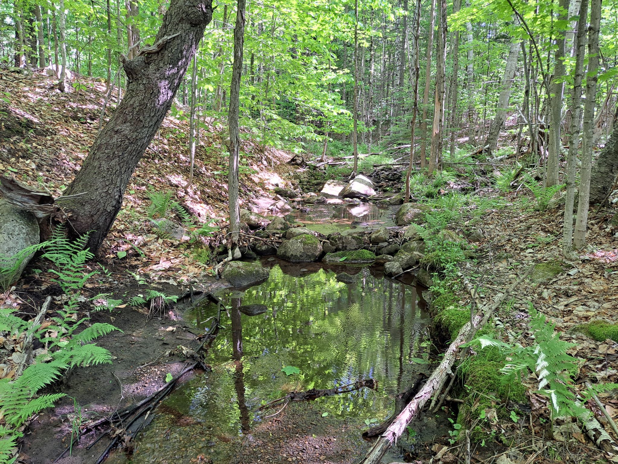 Listing Image 79