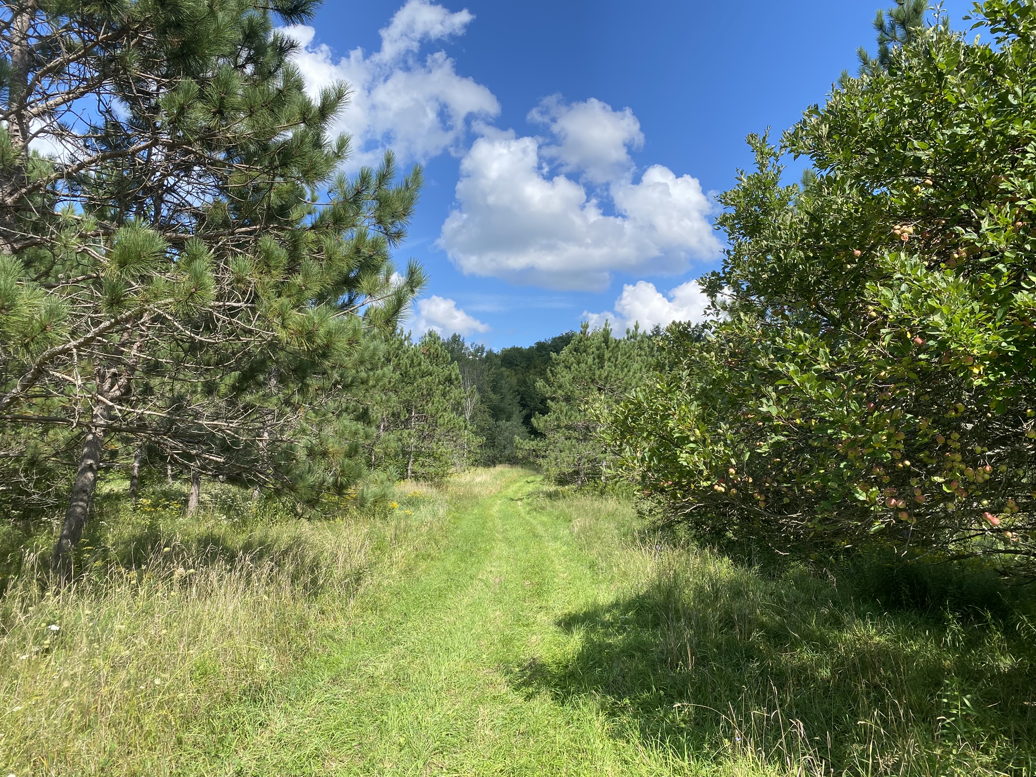 Listing Image 46