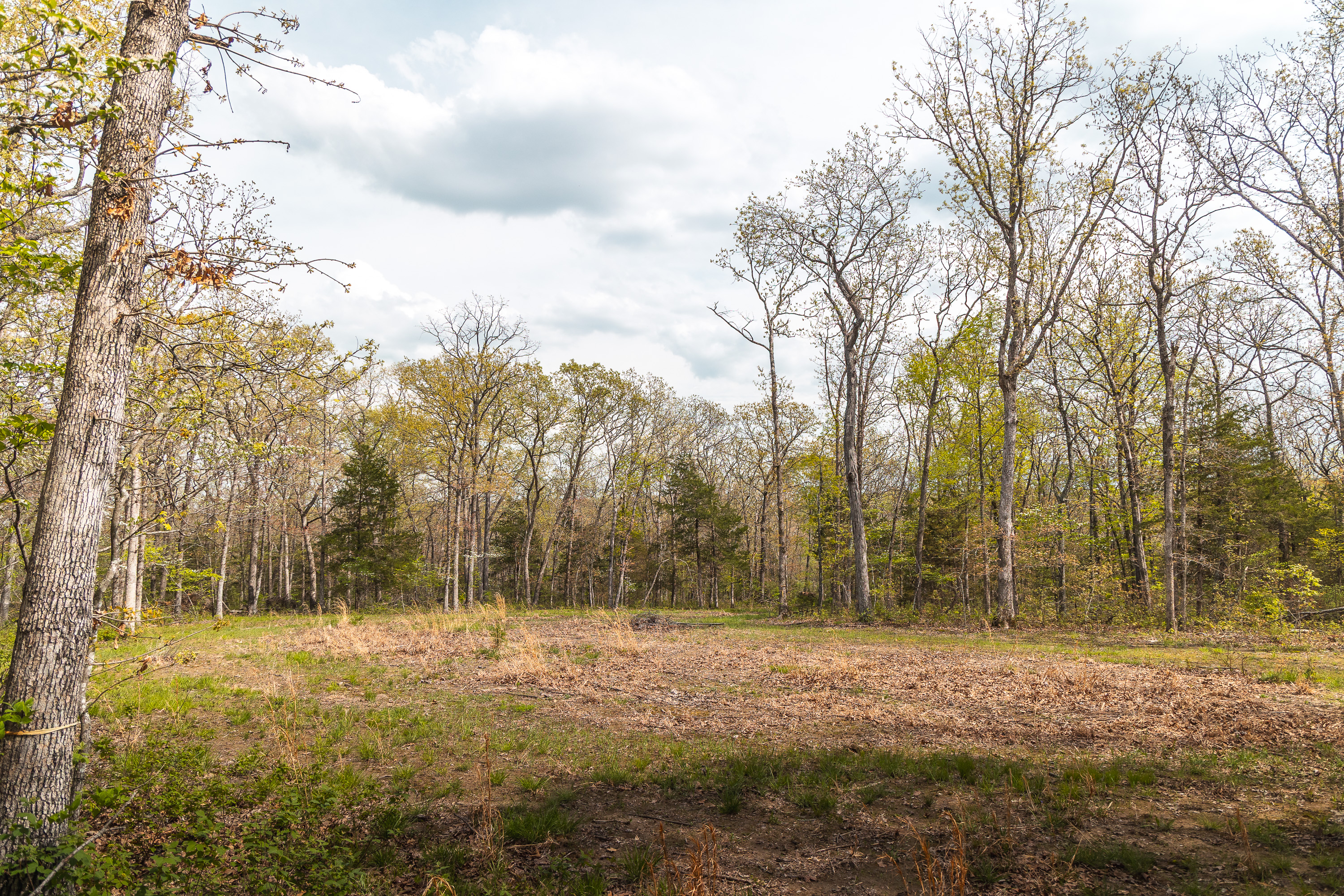 Buck Nest 32