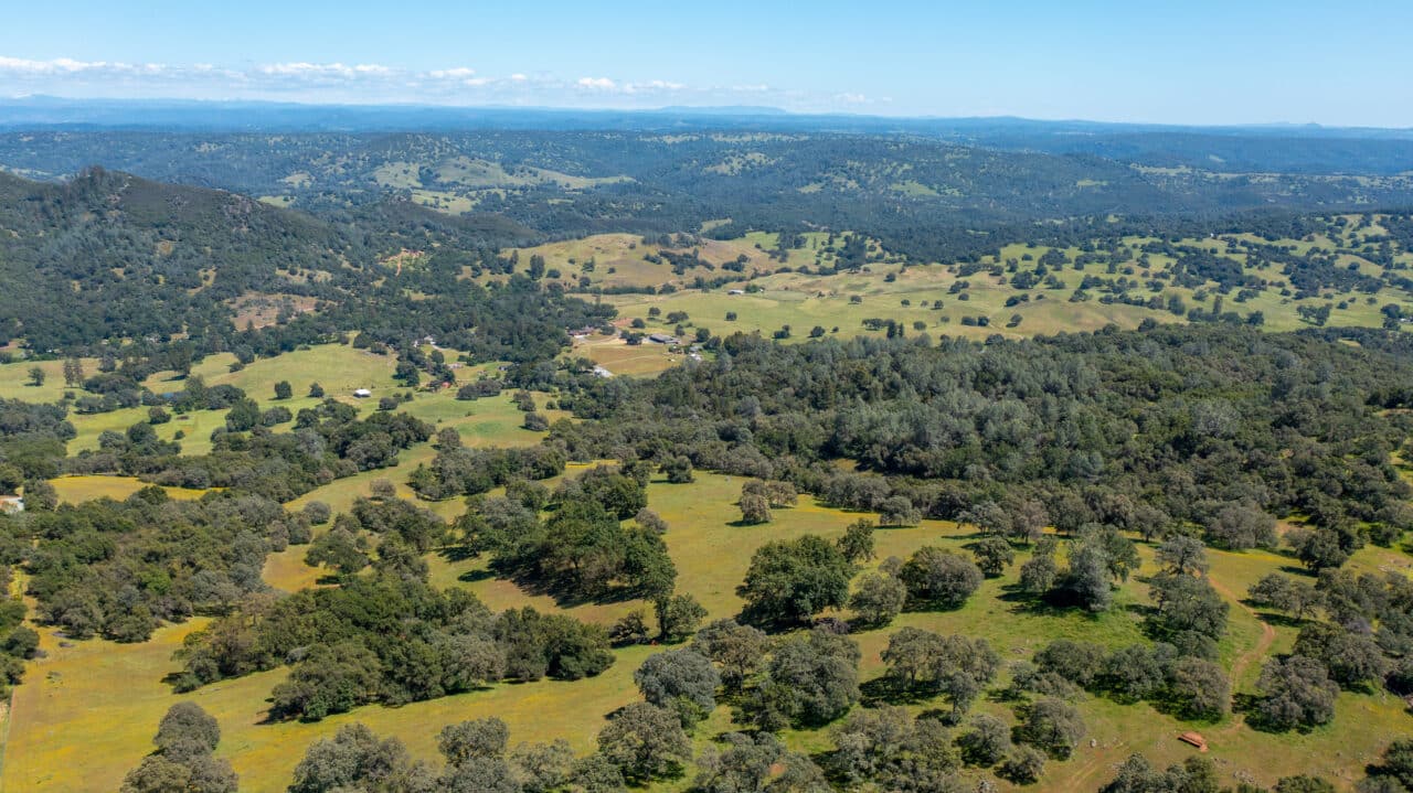 Listing Image 55