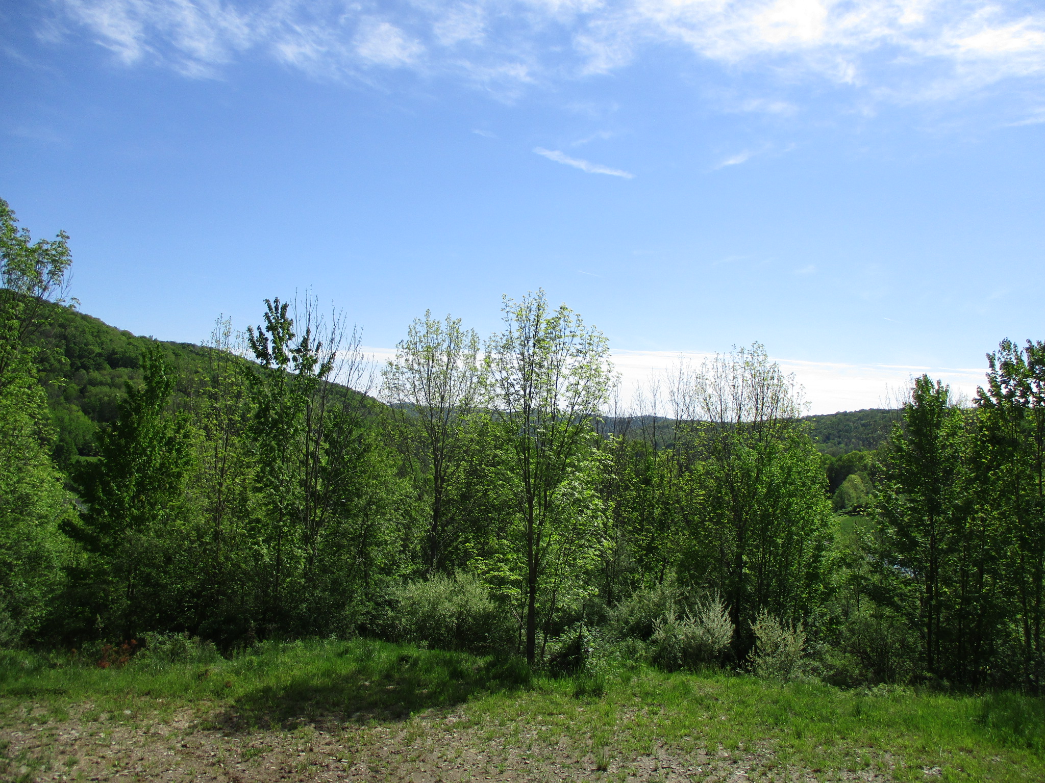 Long View Acres