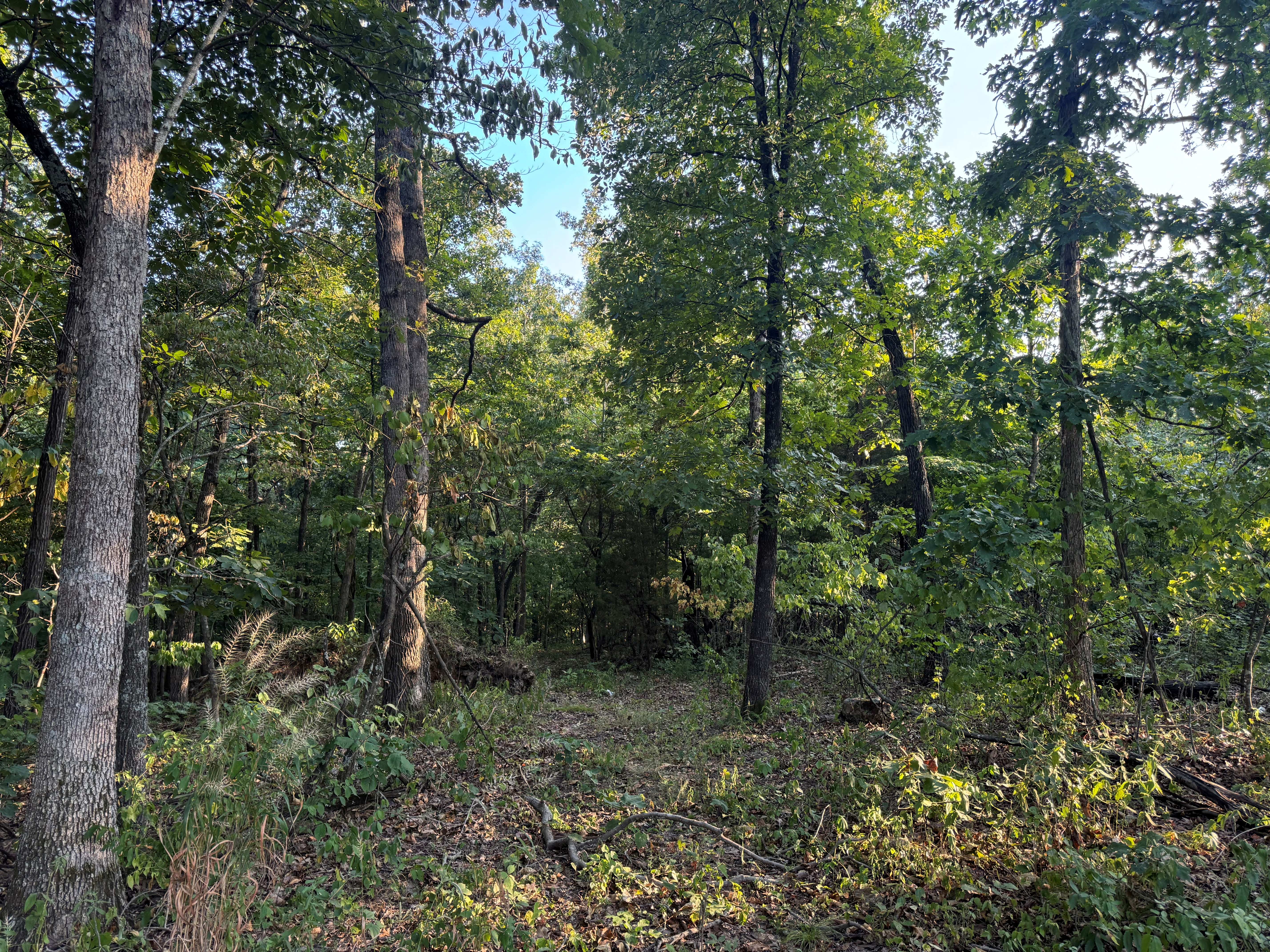 Lost Valley Lake