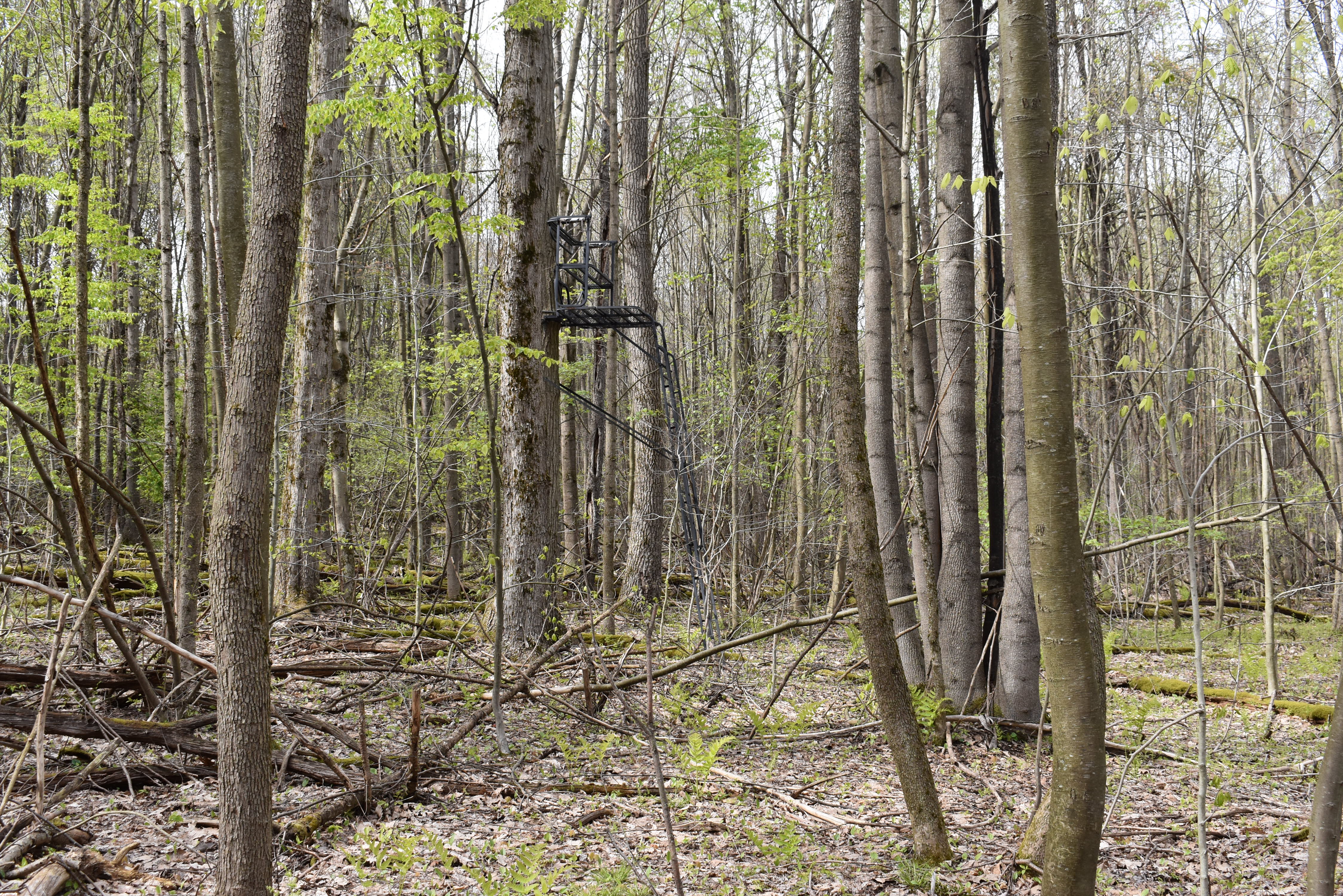 Listing Image 16