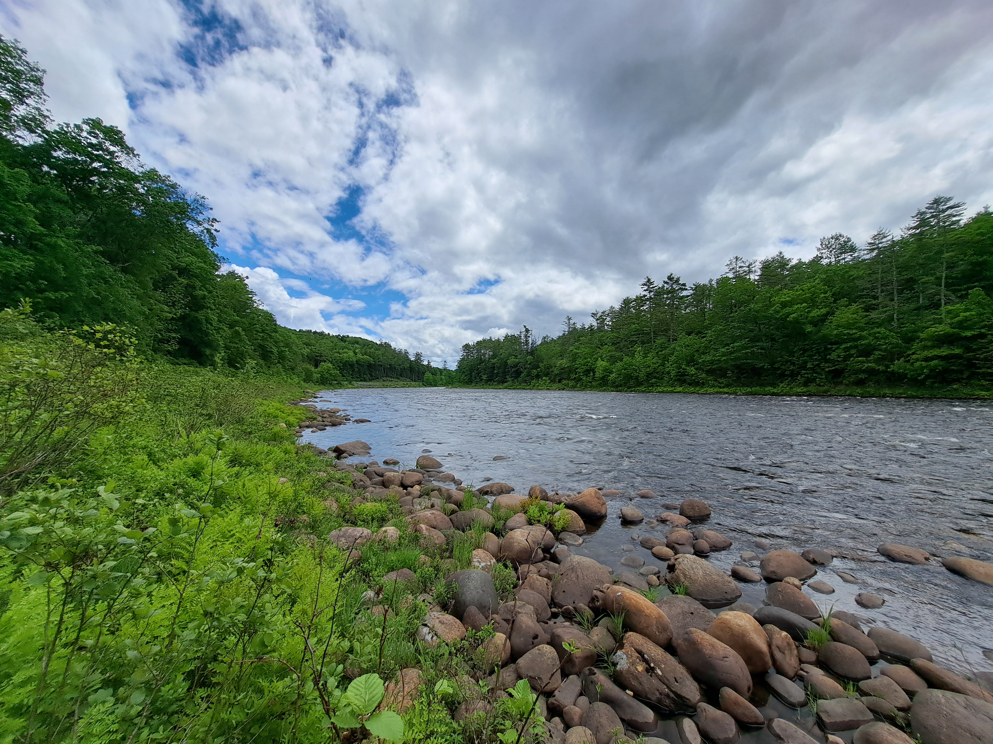Listing Image 64