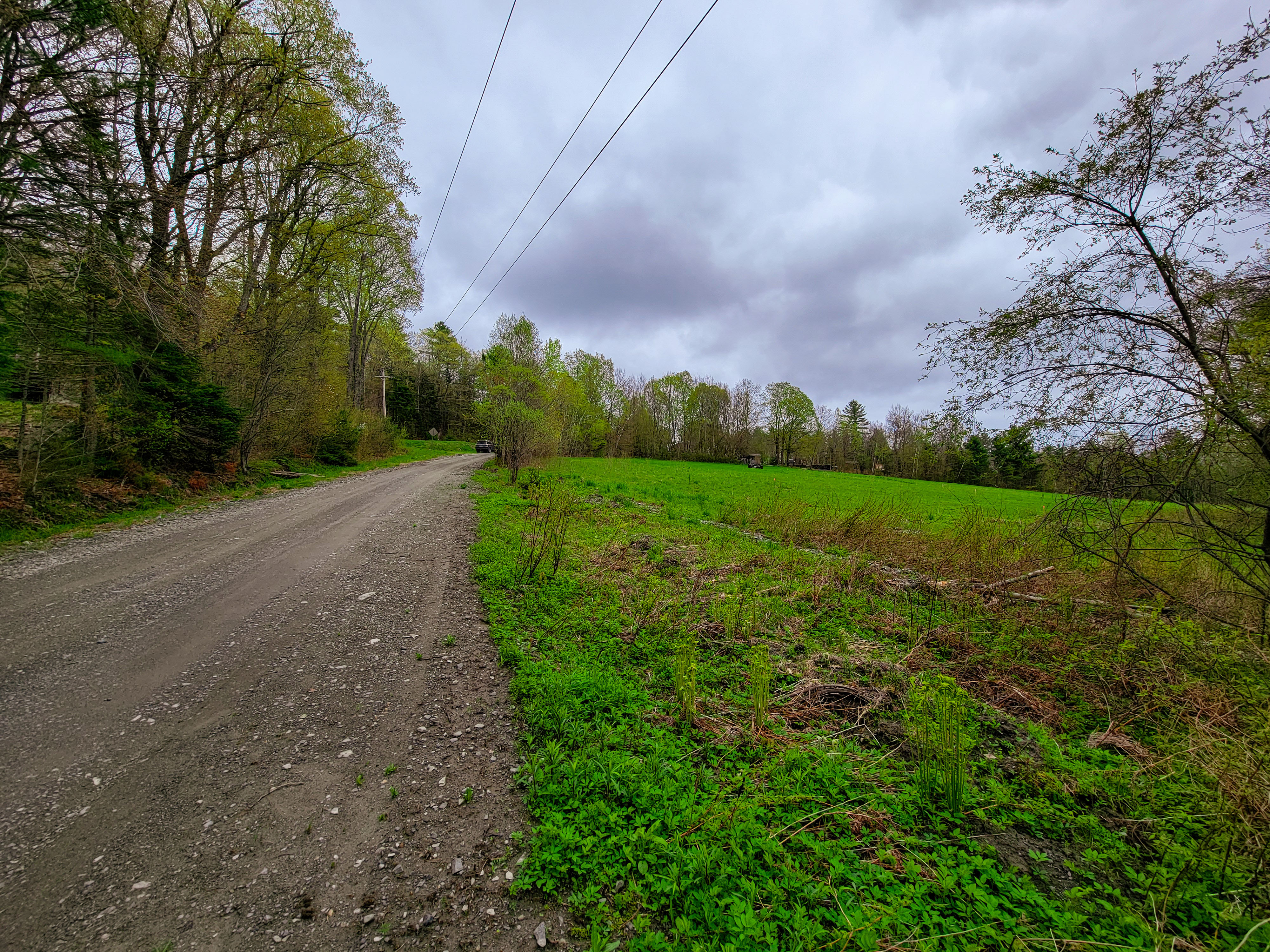 855 Campbell Rd - Waterford