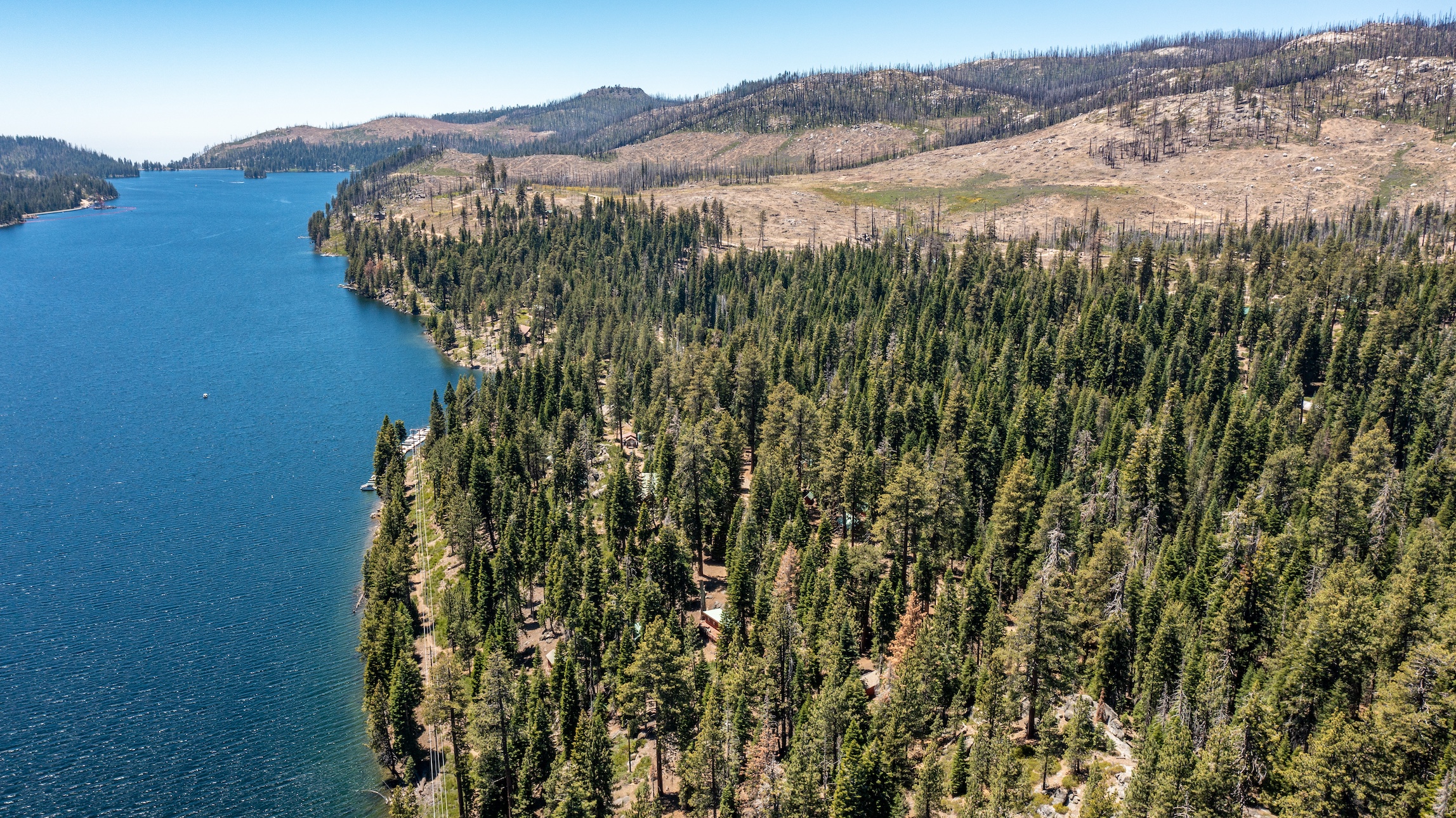Listing Image 89