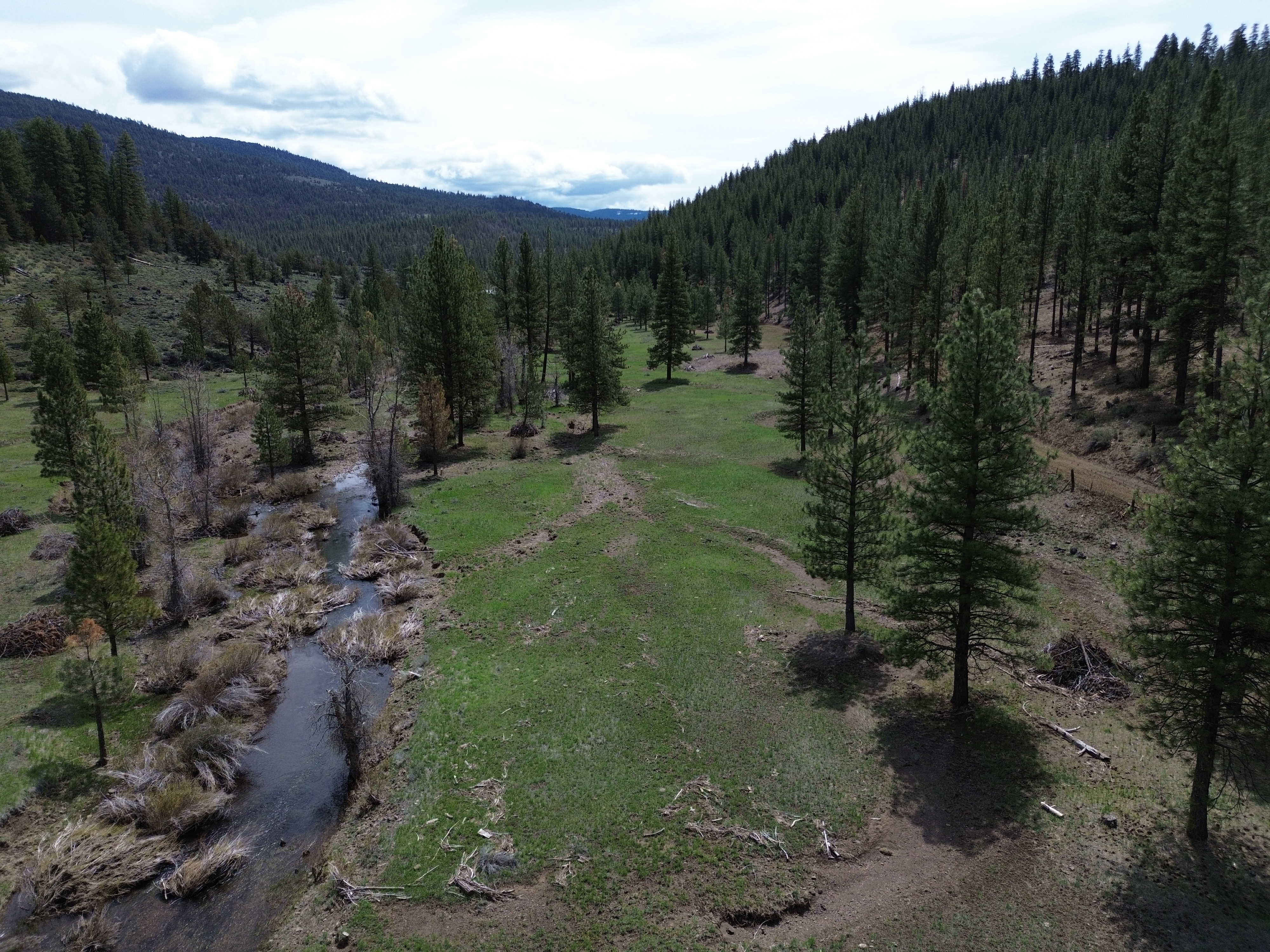 Johnson Creek Meadow