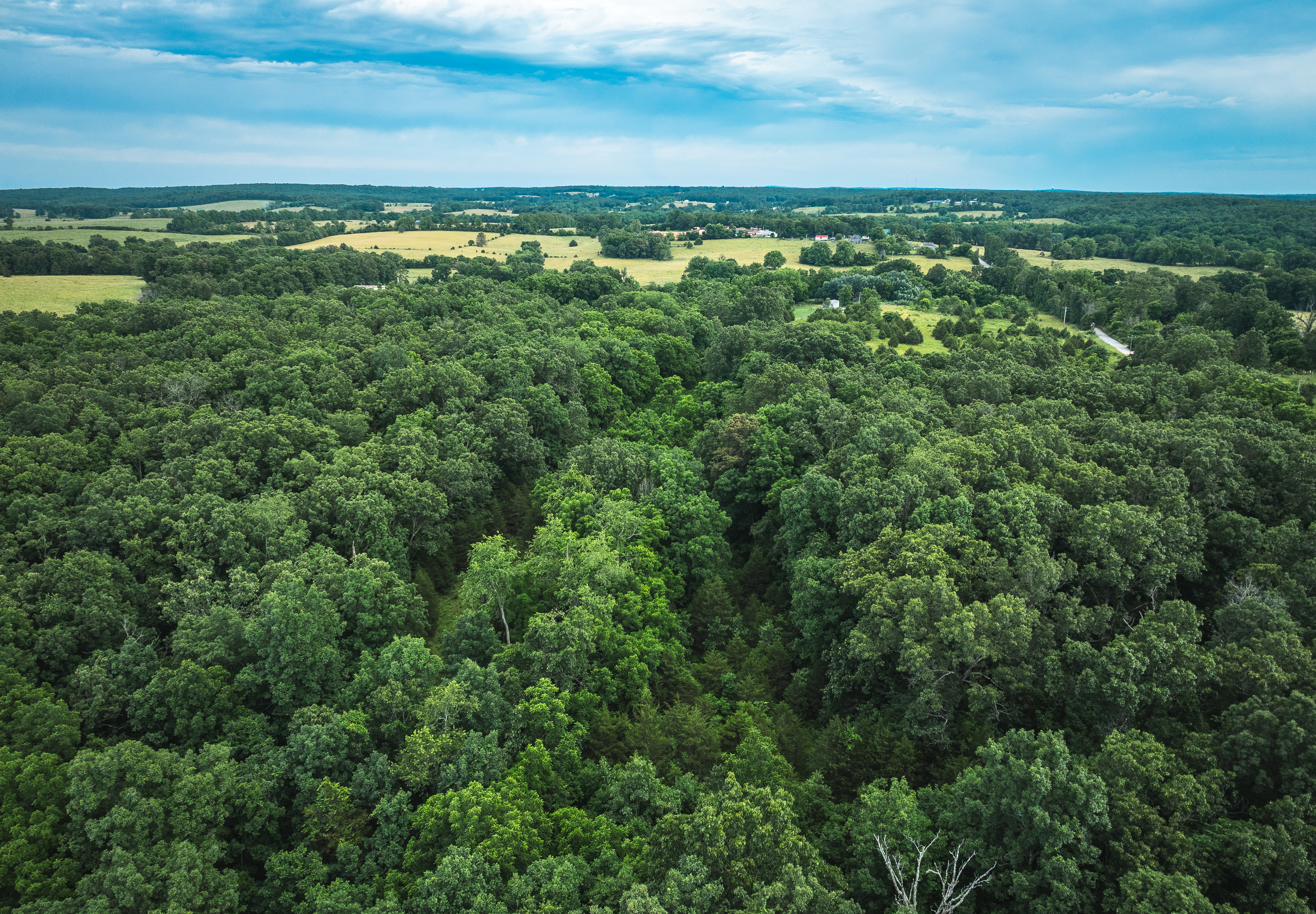 Kimble Glade