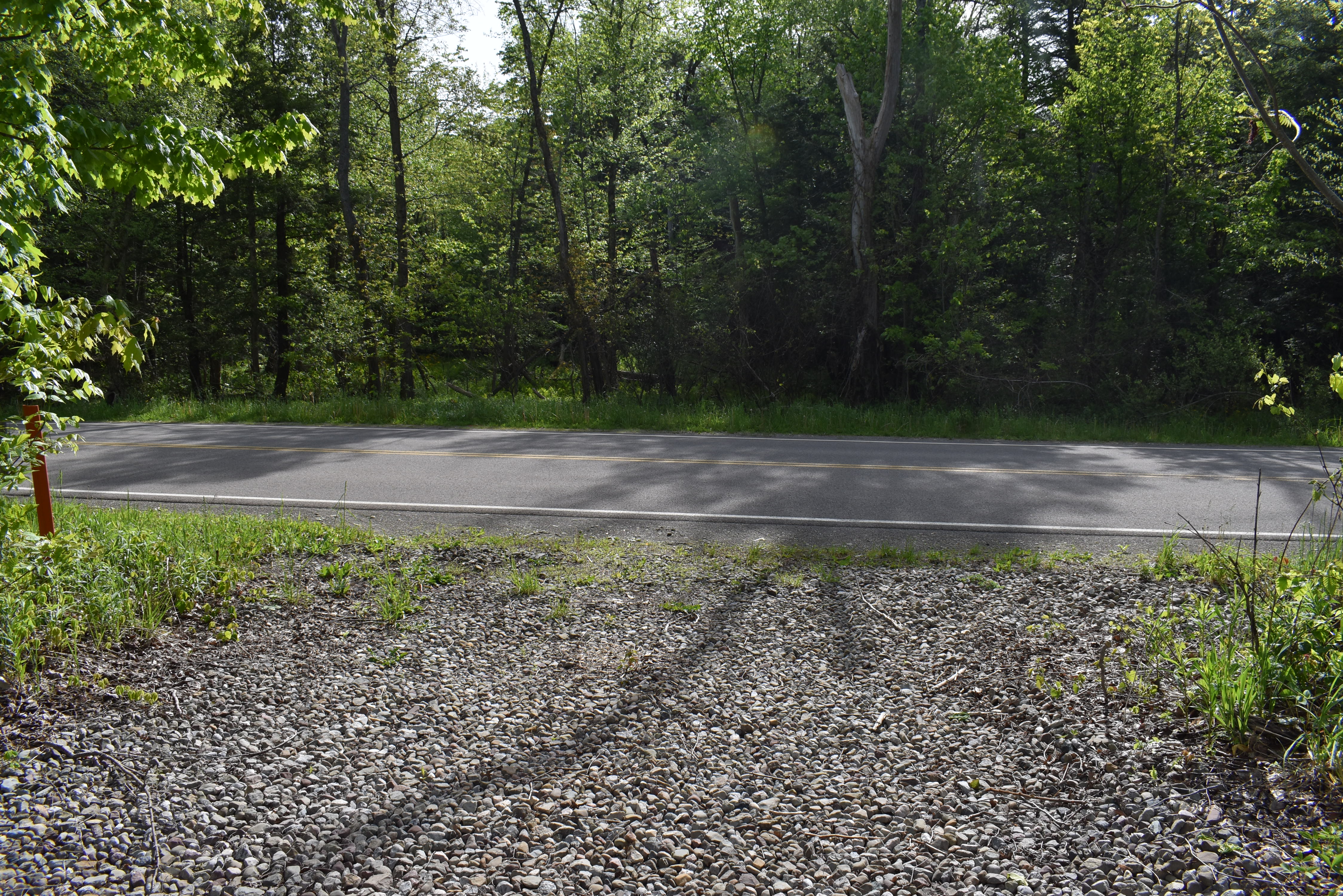 Listing Image 26