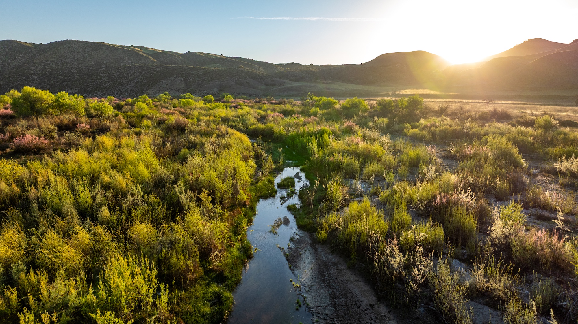 Reynolds Land and Cattle Co. Ranch