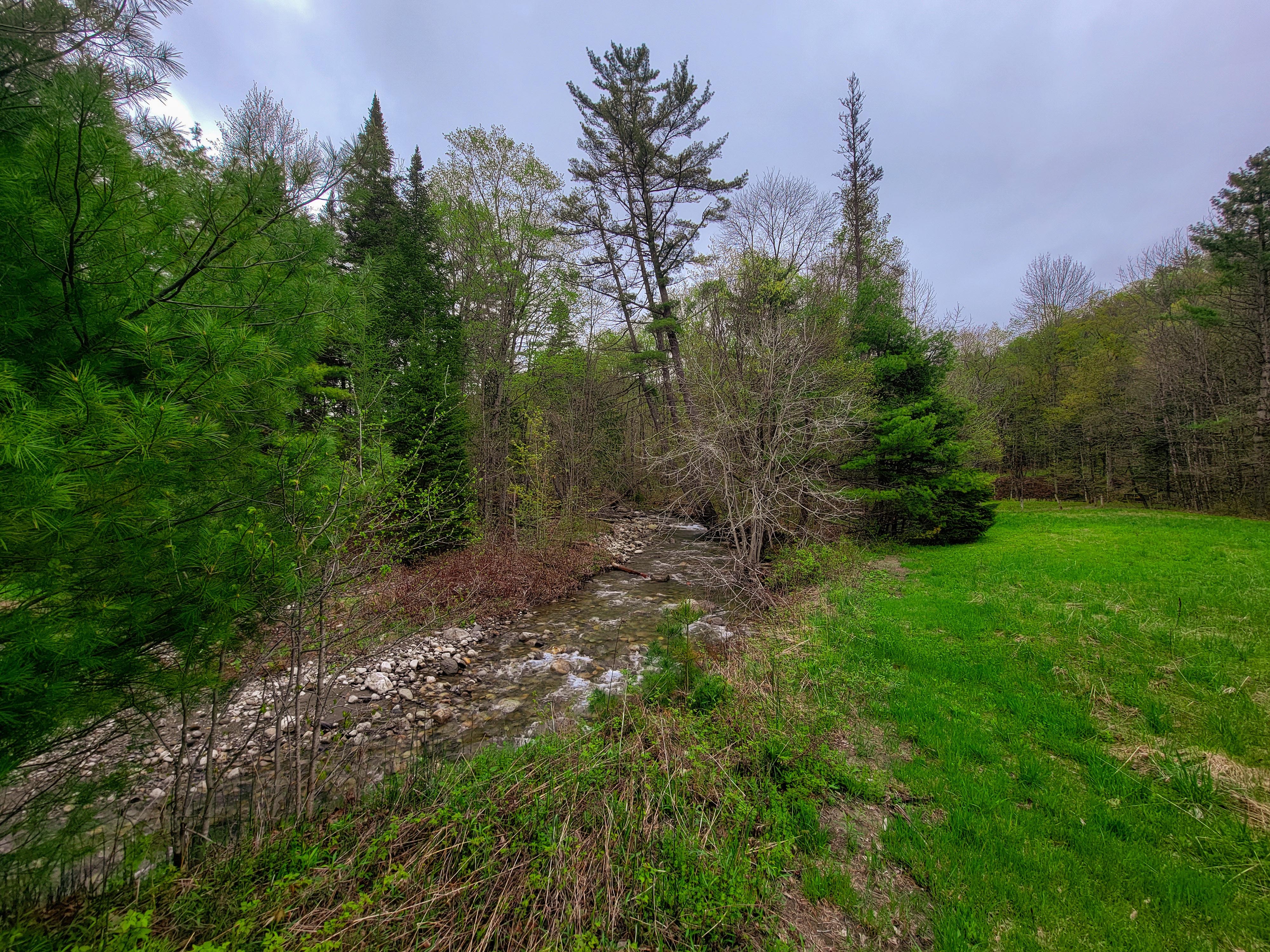 12 Meadowbrook Ln - Chelsea