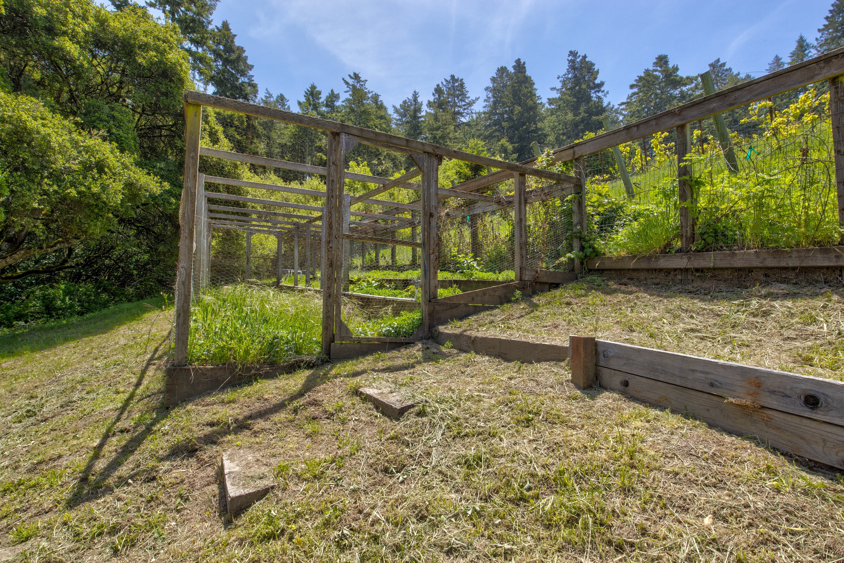 San Gregorio Creekside Farm