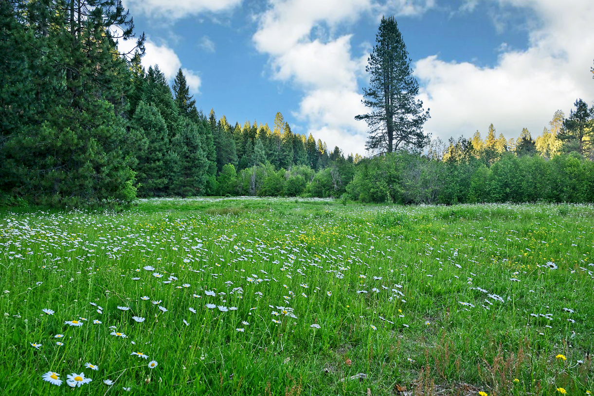 Inter Mountain Ranch