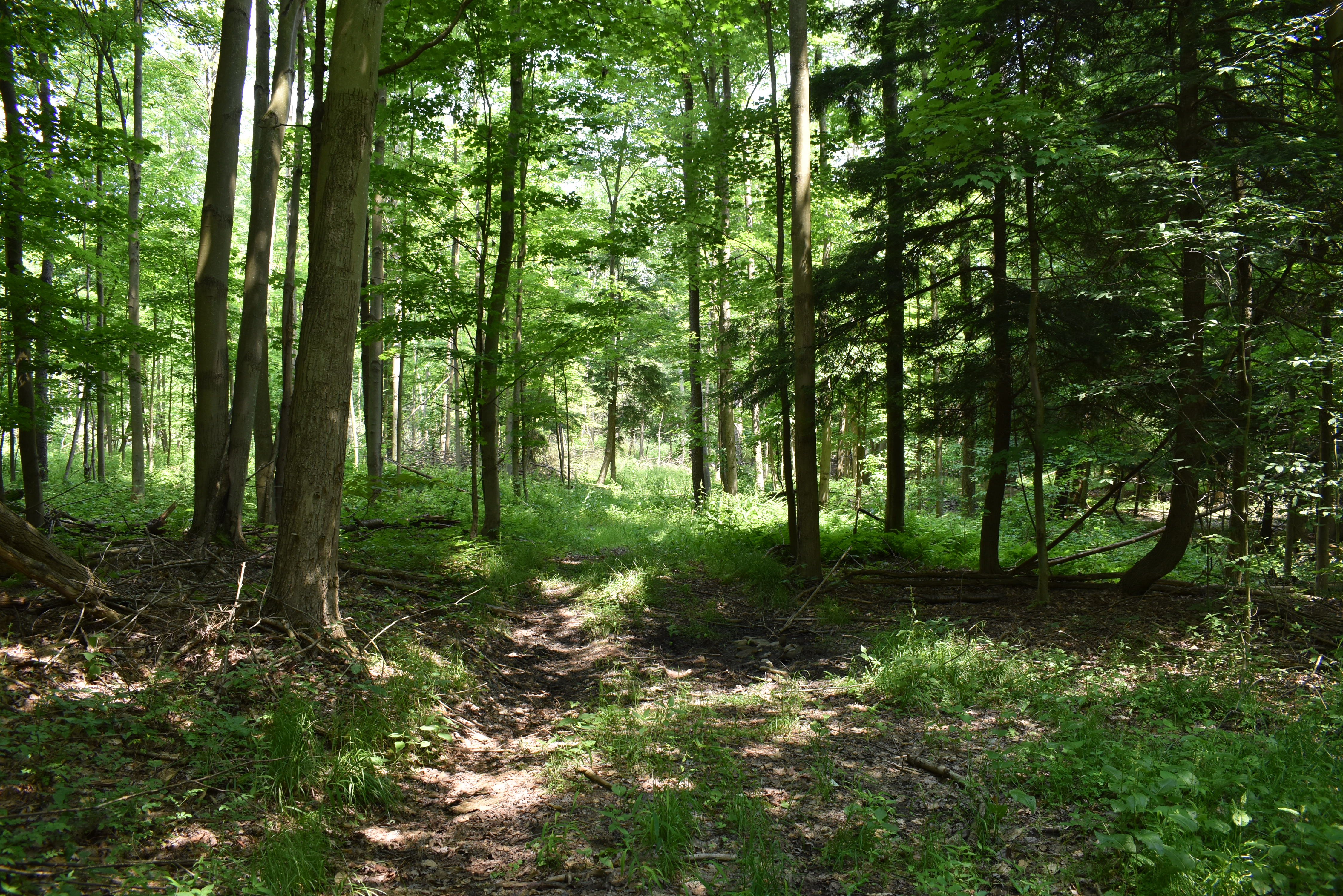 Listing Image 58