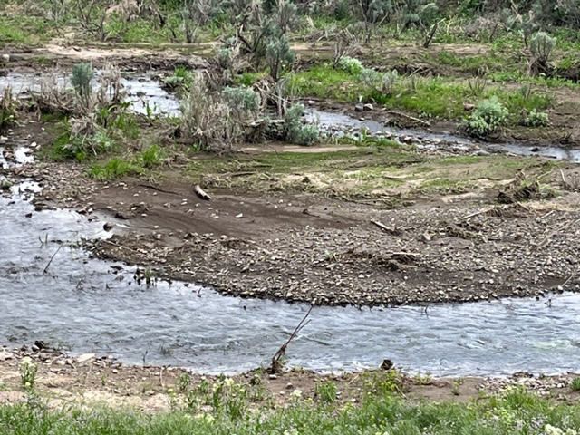 Listing Image 32